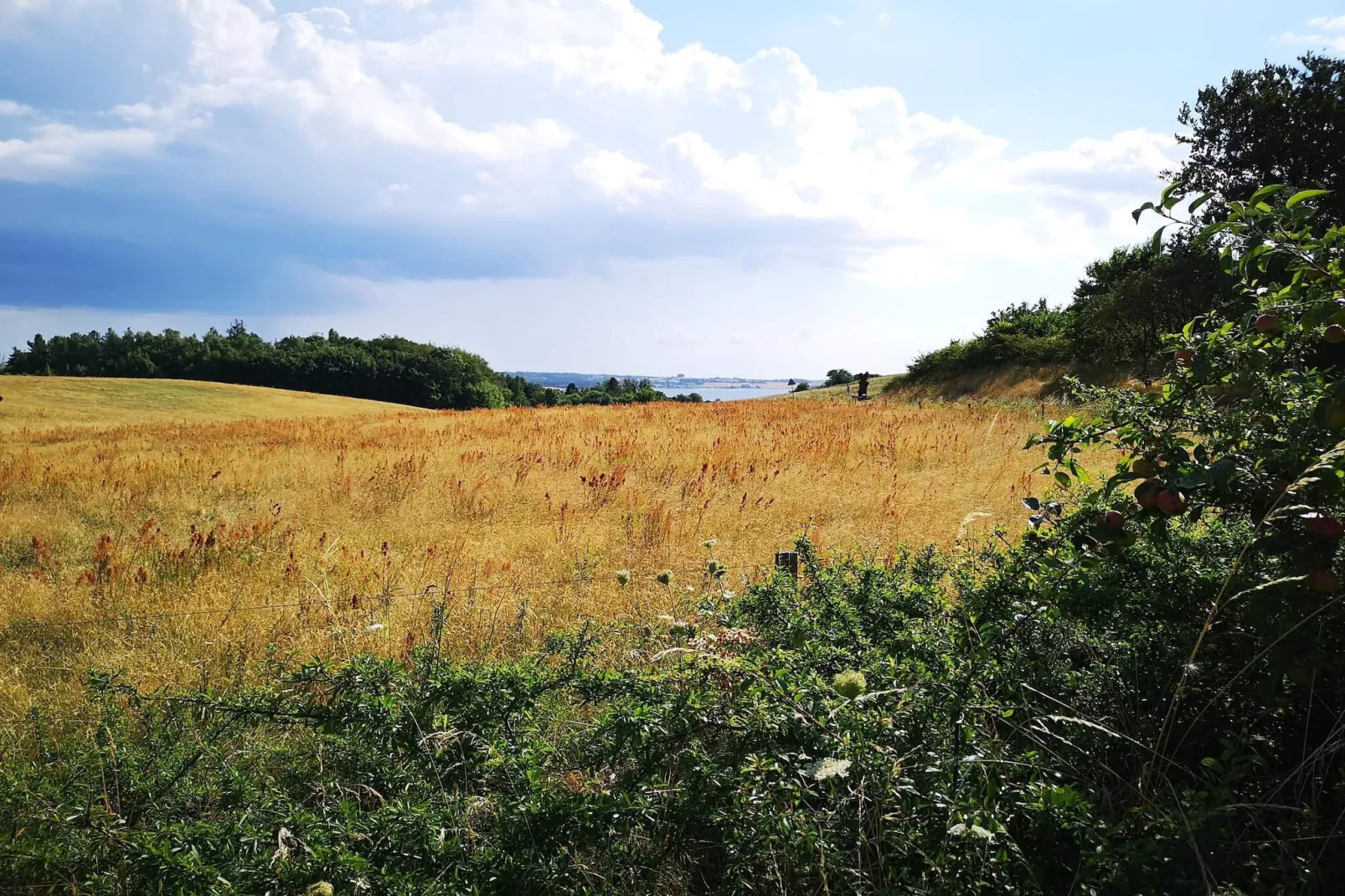 6 persoons vakantie huis in Knebel-By Traum-Niet-getagd