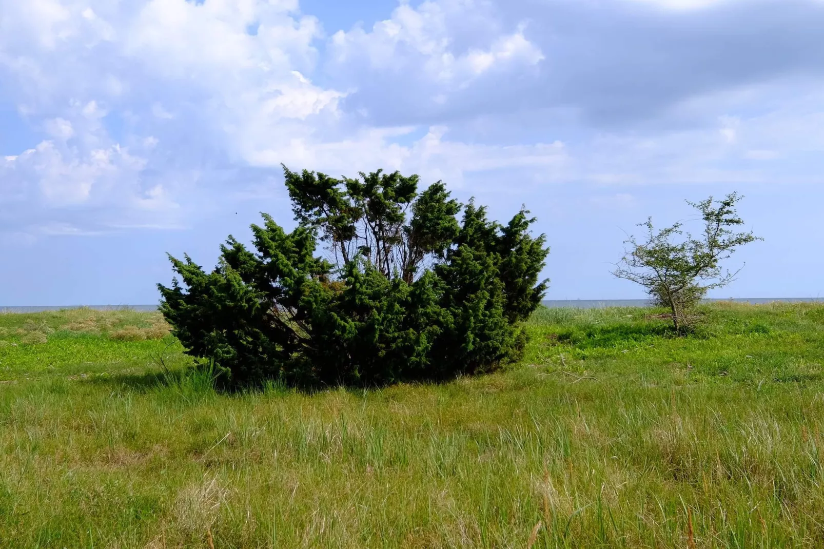 Licht vakantiehuis met spa -- By Traum Ferienwohnungen