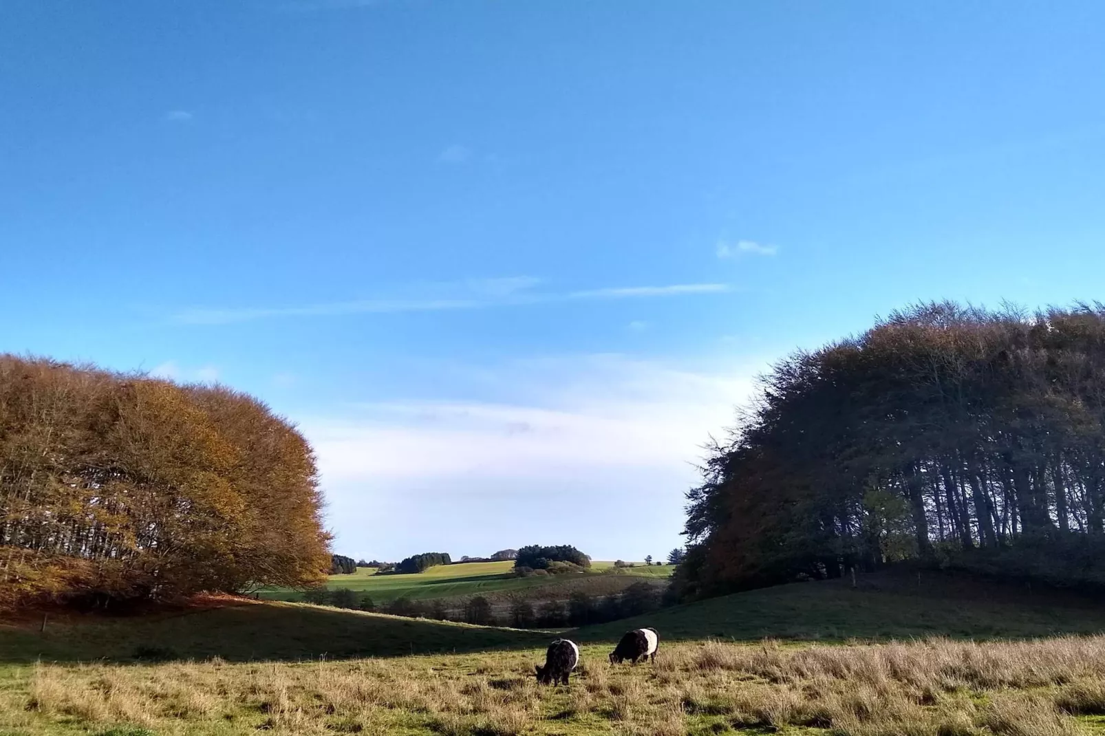 4 persoons vakantie huis in Østervrå-By Traum-Niet-getagd