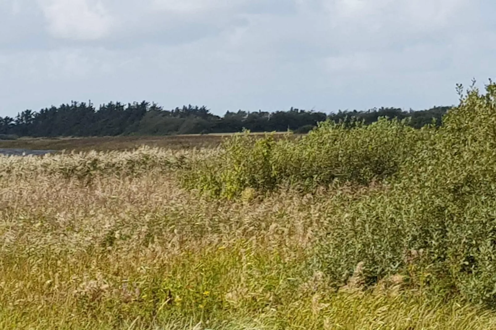 8 persoons vakantie huis in Vemb