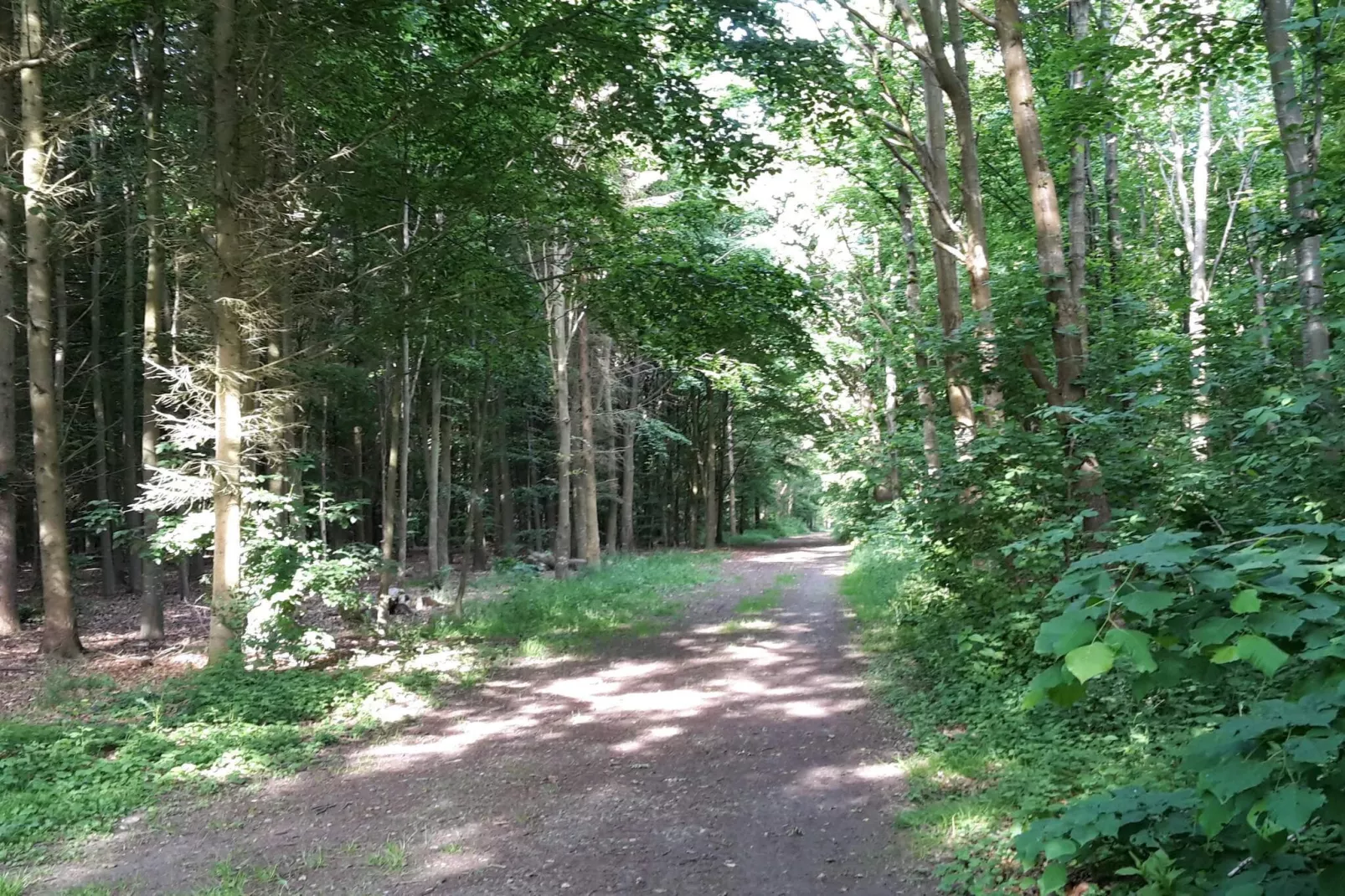 10 persoons vakantie huis in Marstal-By Traum