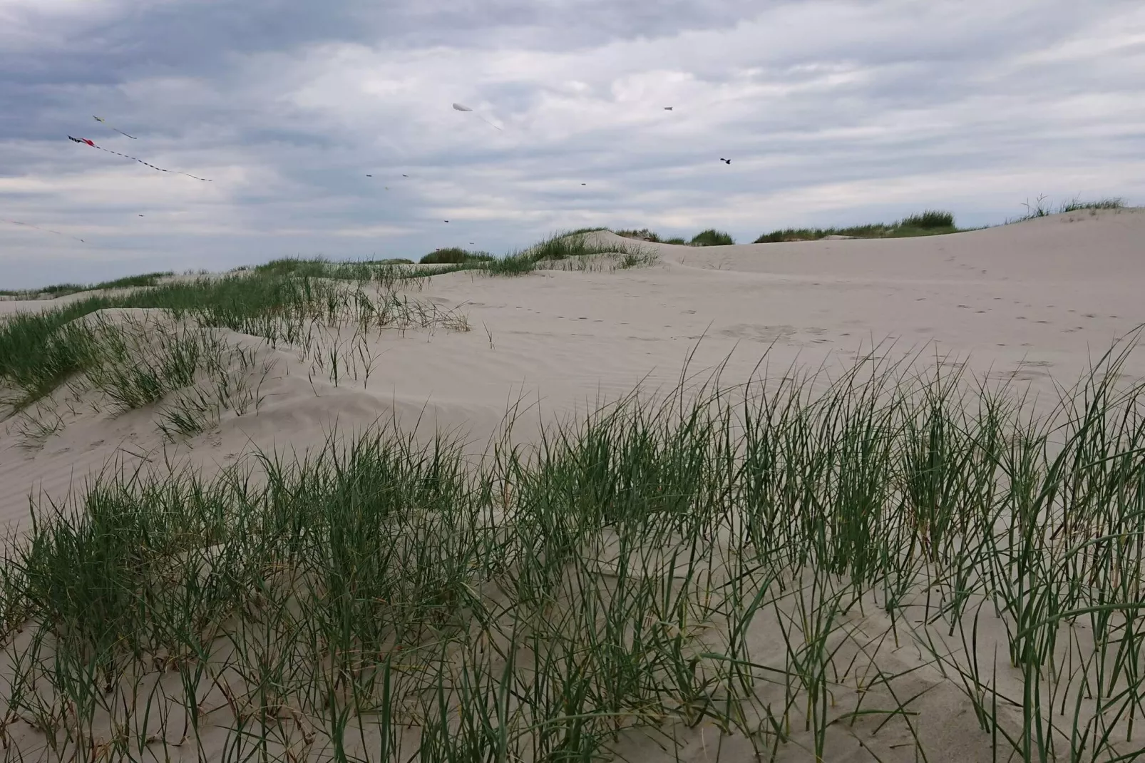 6 persoons vakantie huis in Fanø-By Traum-Niet-getagd