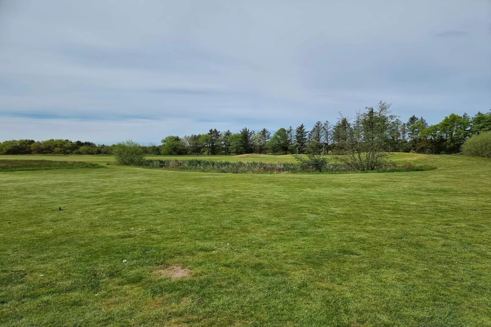 12 persoons vakantie huis in Pandrup-By Traum