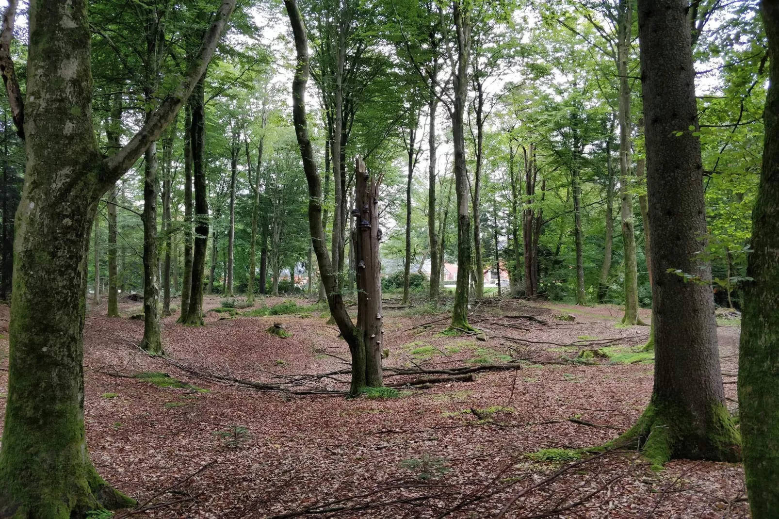 Meerzicht Juweel in Skarrild -- By Traum Ferienwohnungen