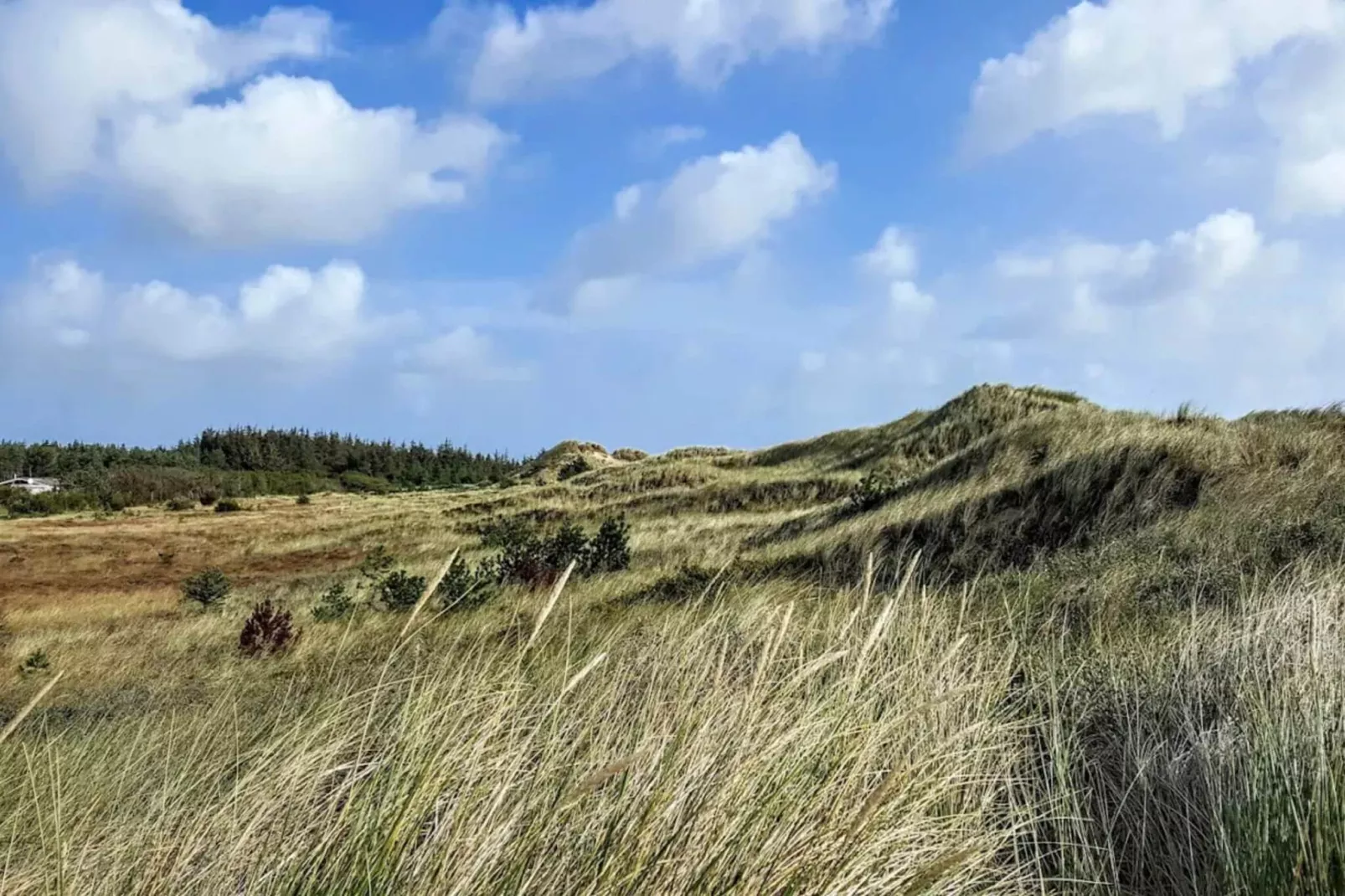 5 sterren vakantie huis in Ålbæk-By Traum-Niet-getagd