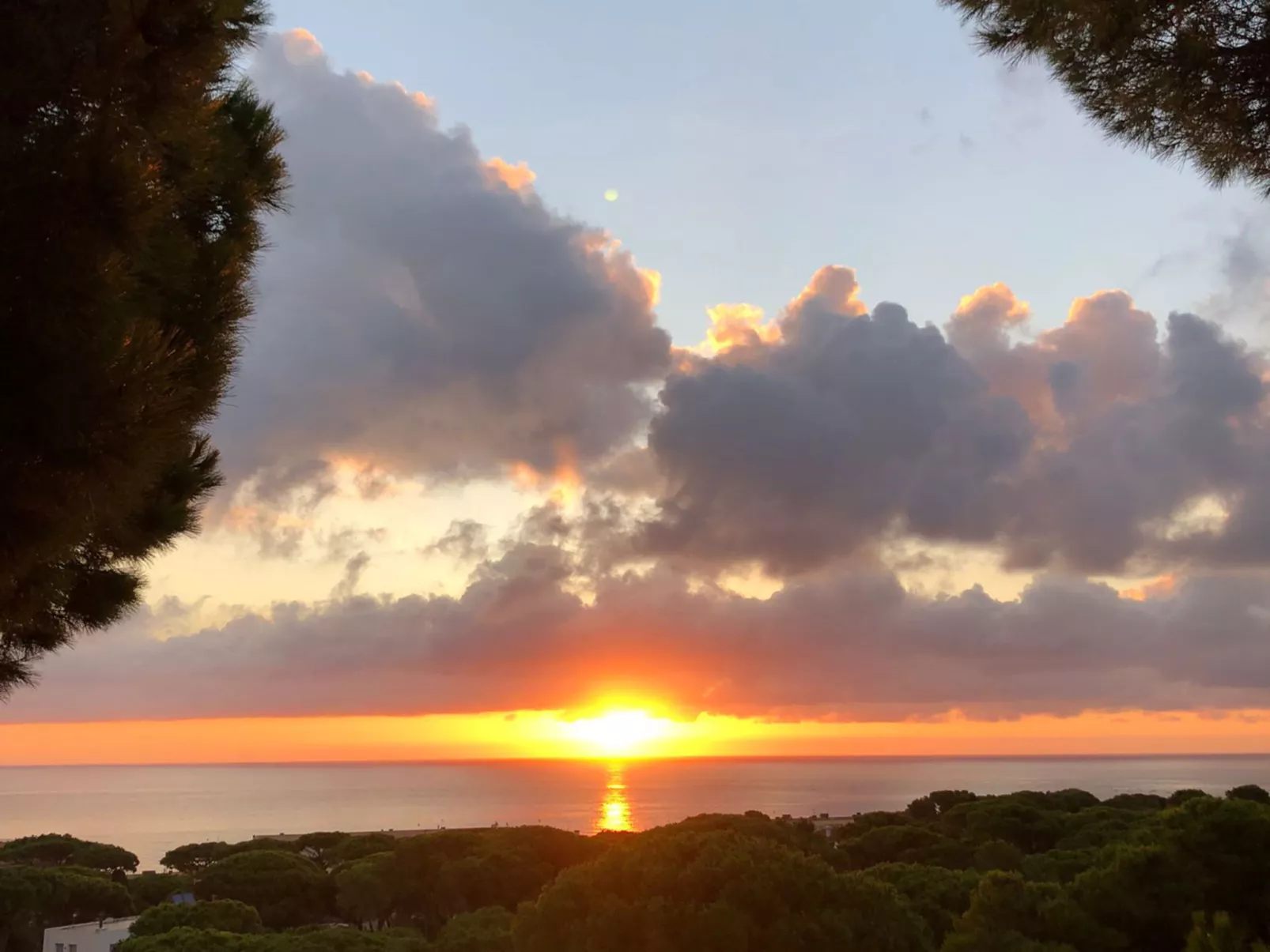 "Melis II M8 Playa de Pals"-Buiten