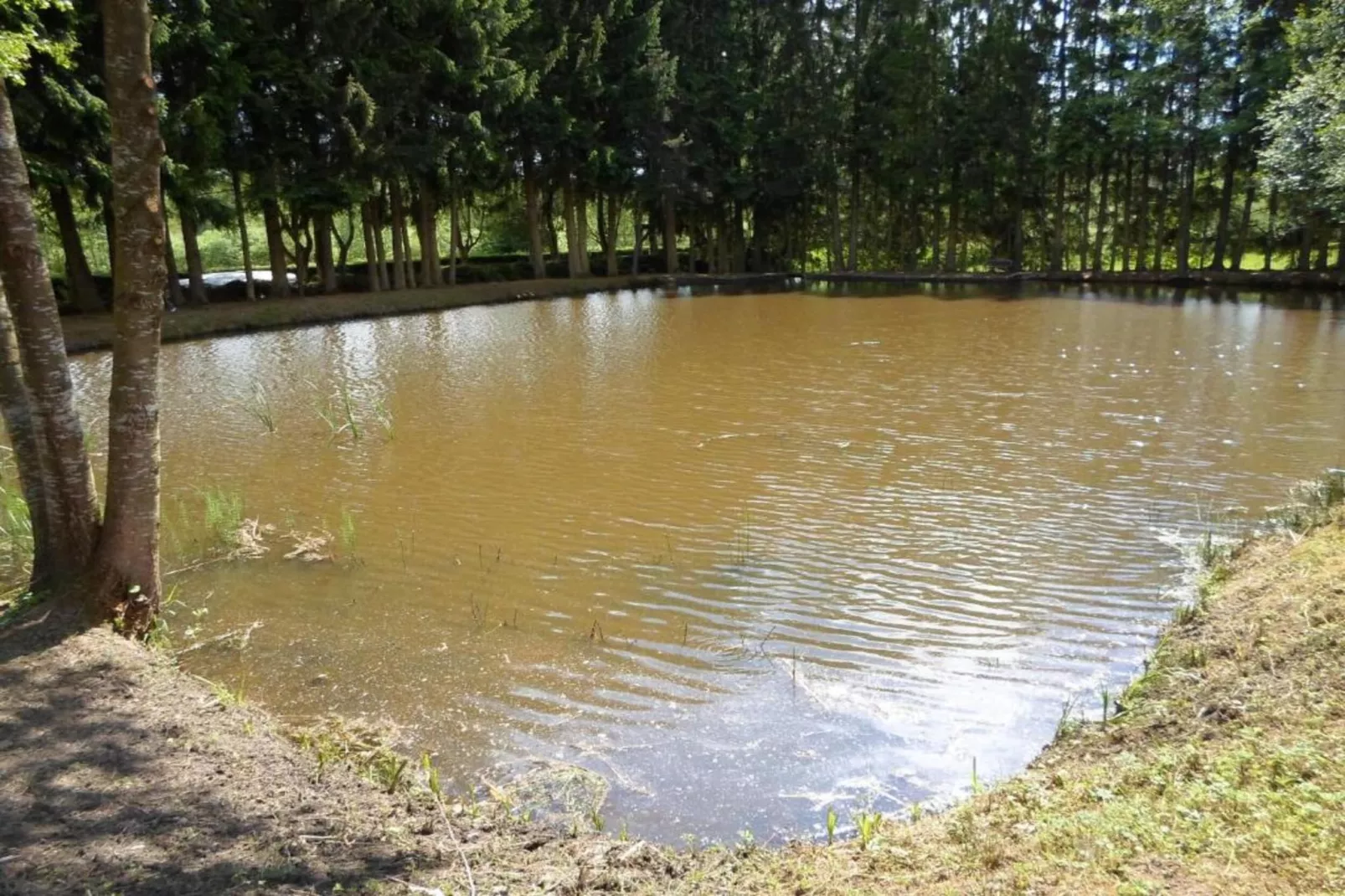 Domaine Des Messires 2-Gebieden zomer 1km