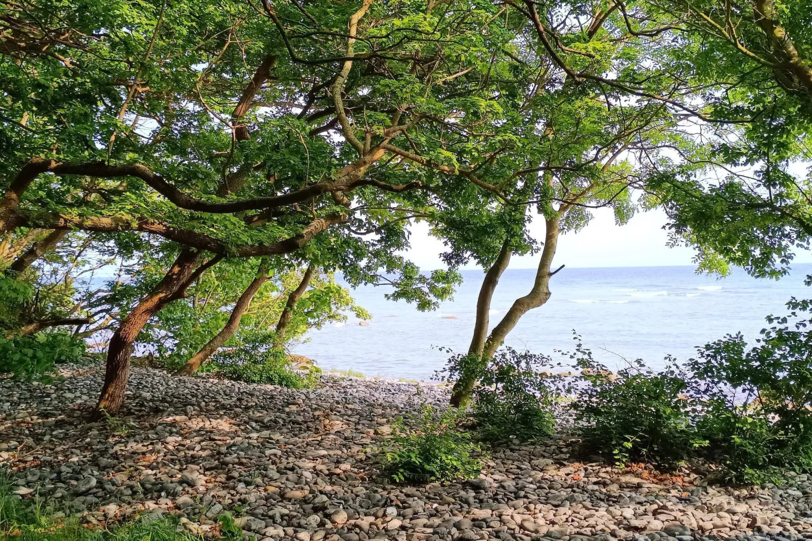 4 persoons vakantie huis in Borre-By Traum