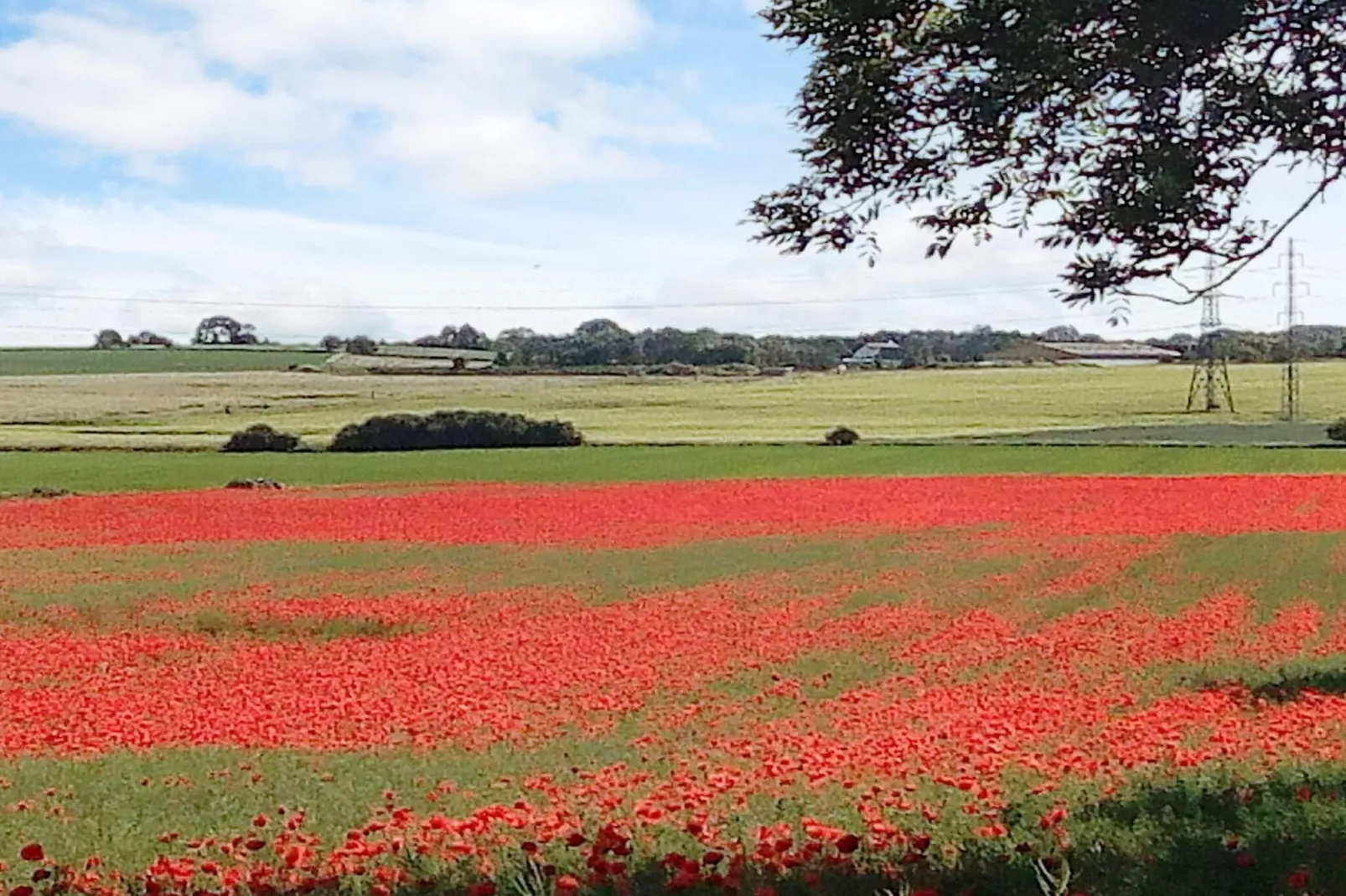 6 persoons vakantie huis in Frederiksværk-By Traum