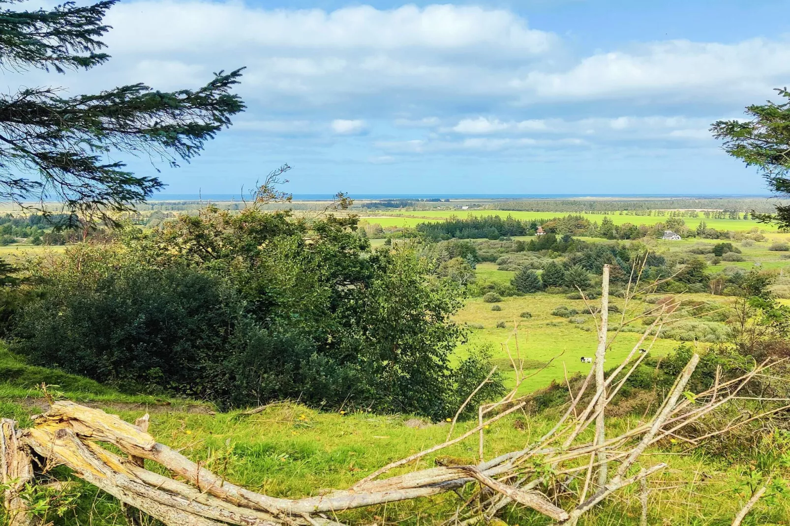 5 persoons vakantie huis in Brovst-By Traum