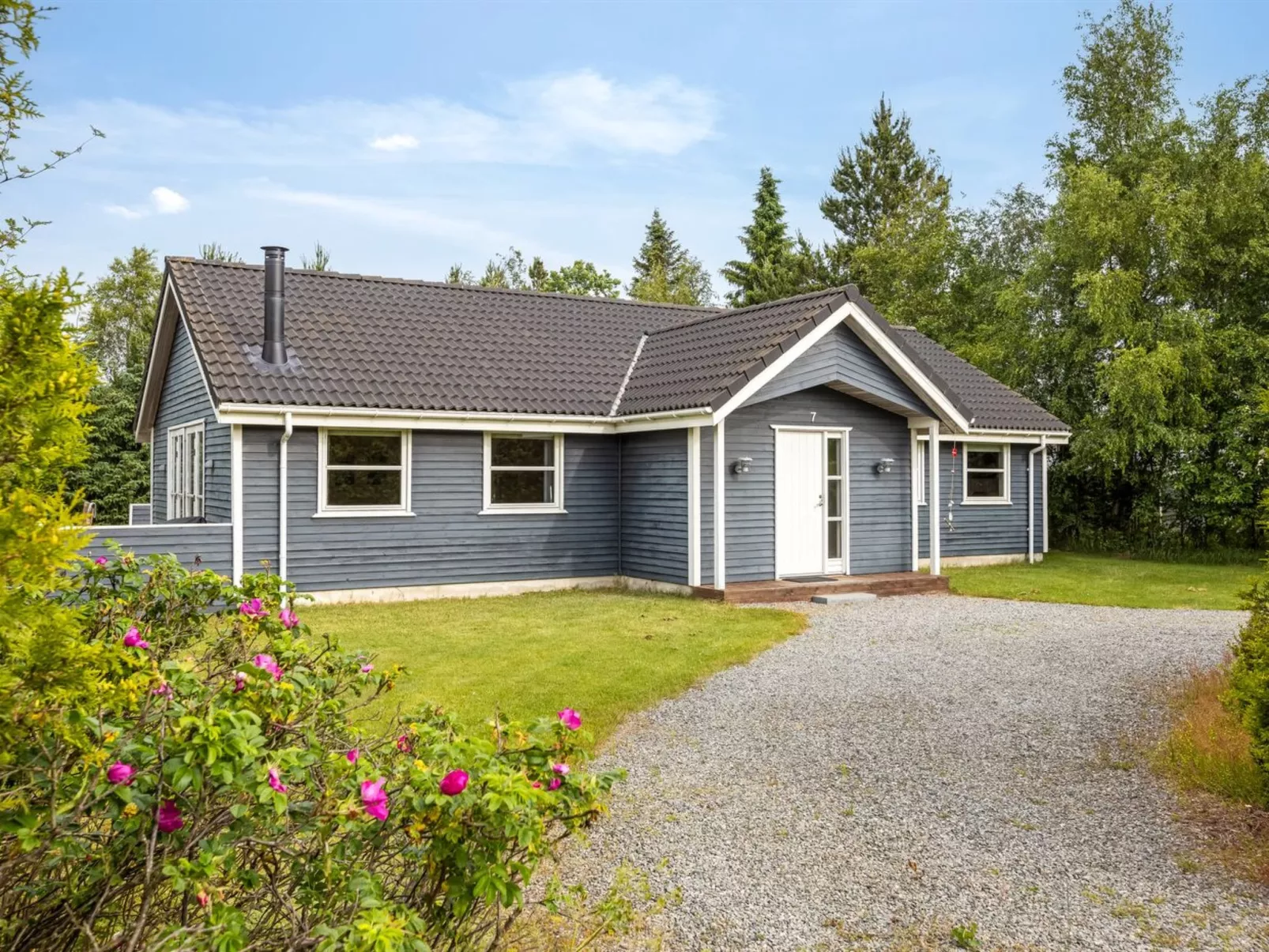 "Felina" -  from the sea