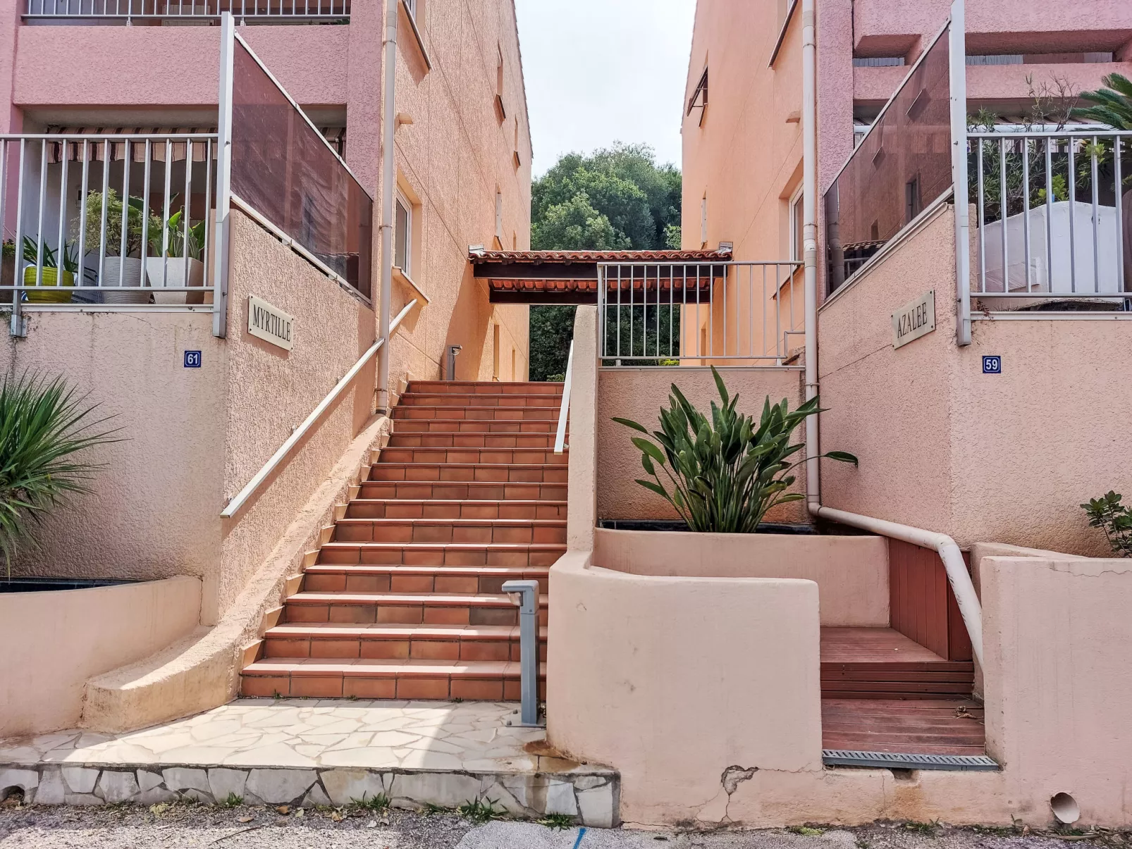 Les myrtilles-Buiten