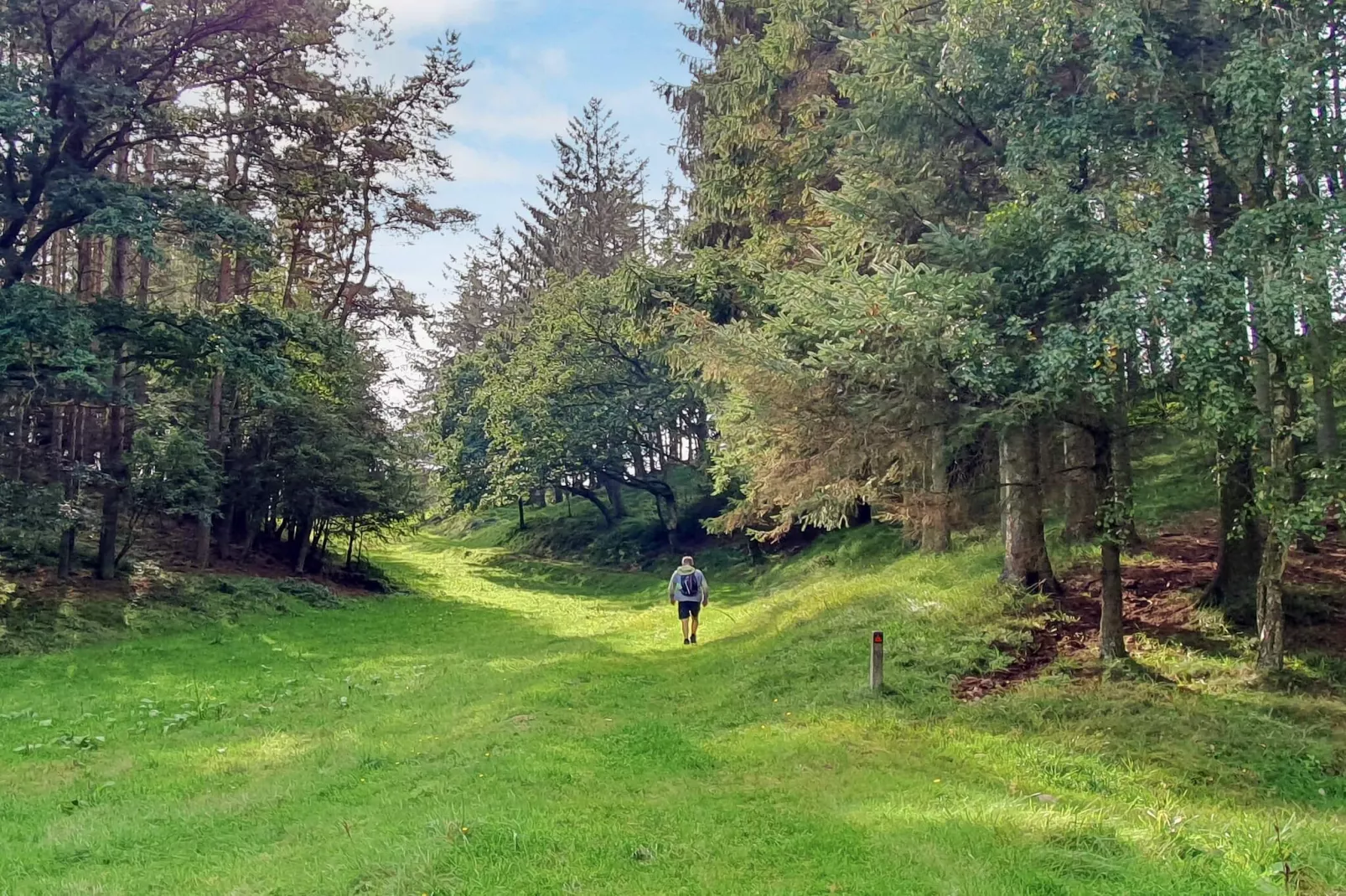 5 sterren vakantie huis in Farsø-By Traum-Niet-getagd