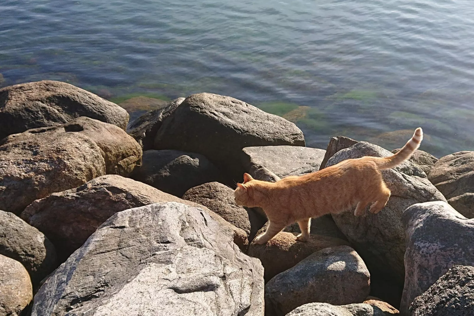 6 persoons vakantie huis in Karrebæksminde