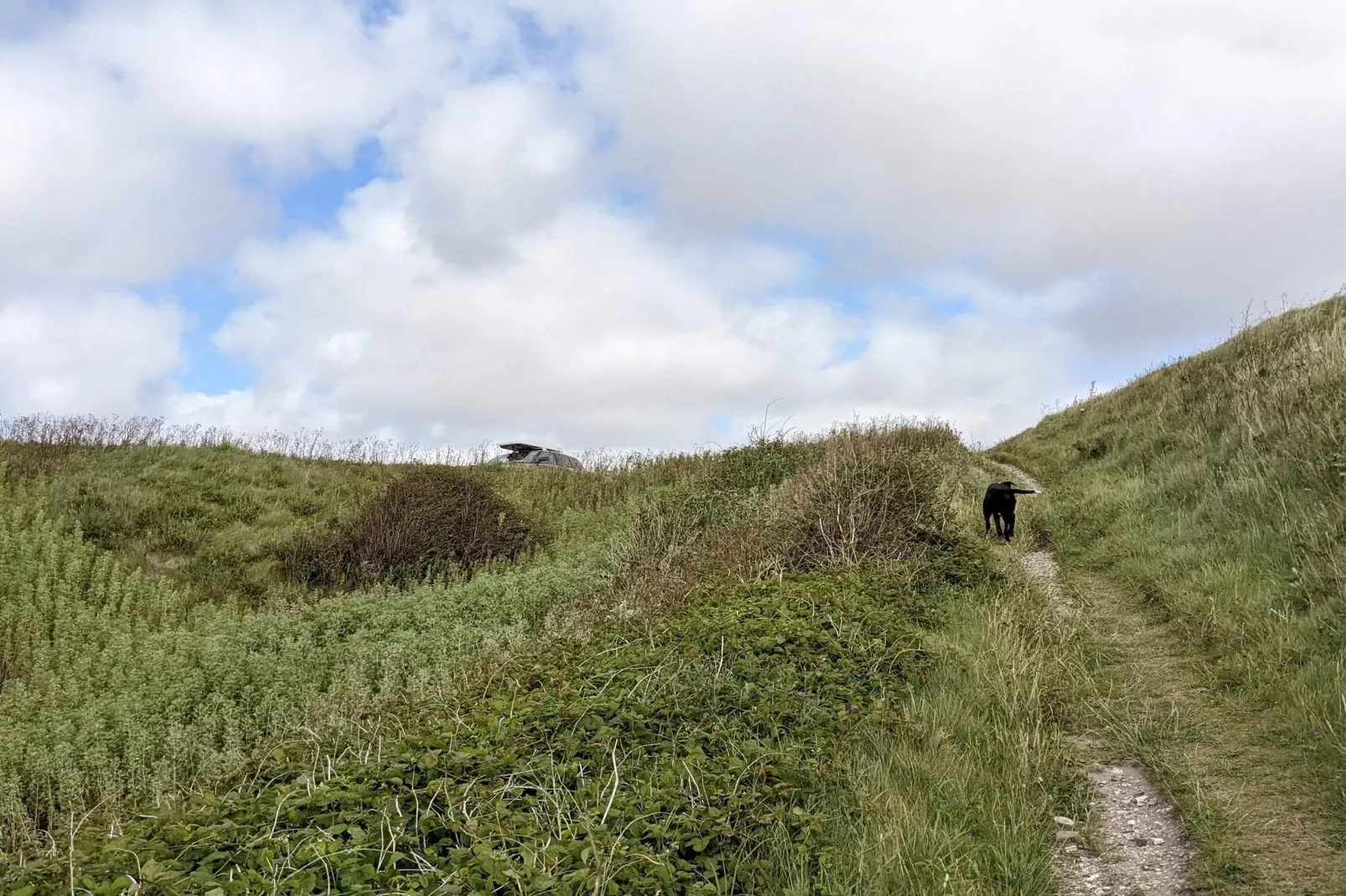 7 persoons vakantie huis in Vestervig-By Traum-Niet-getagd