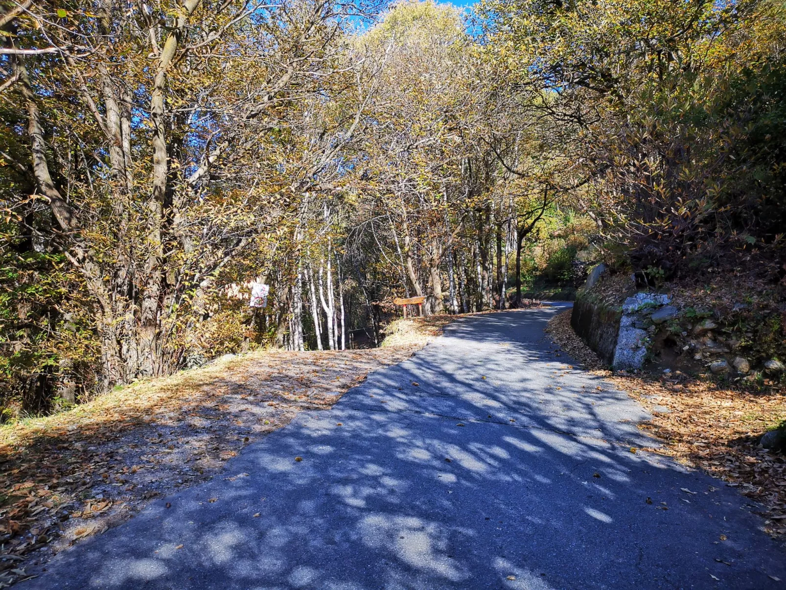 Baita Mirtillo-Buiten