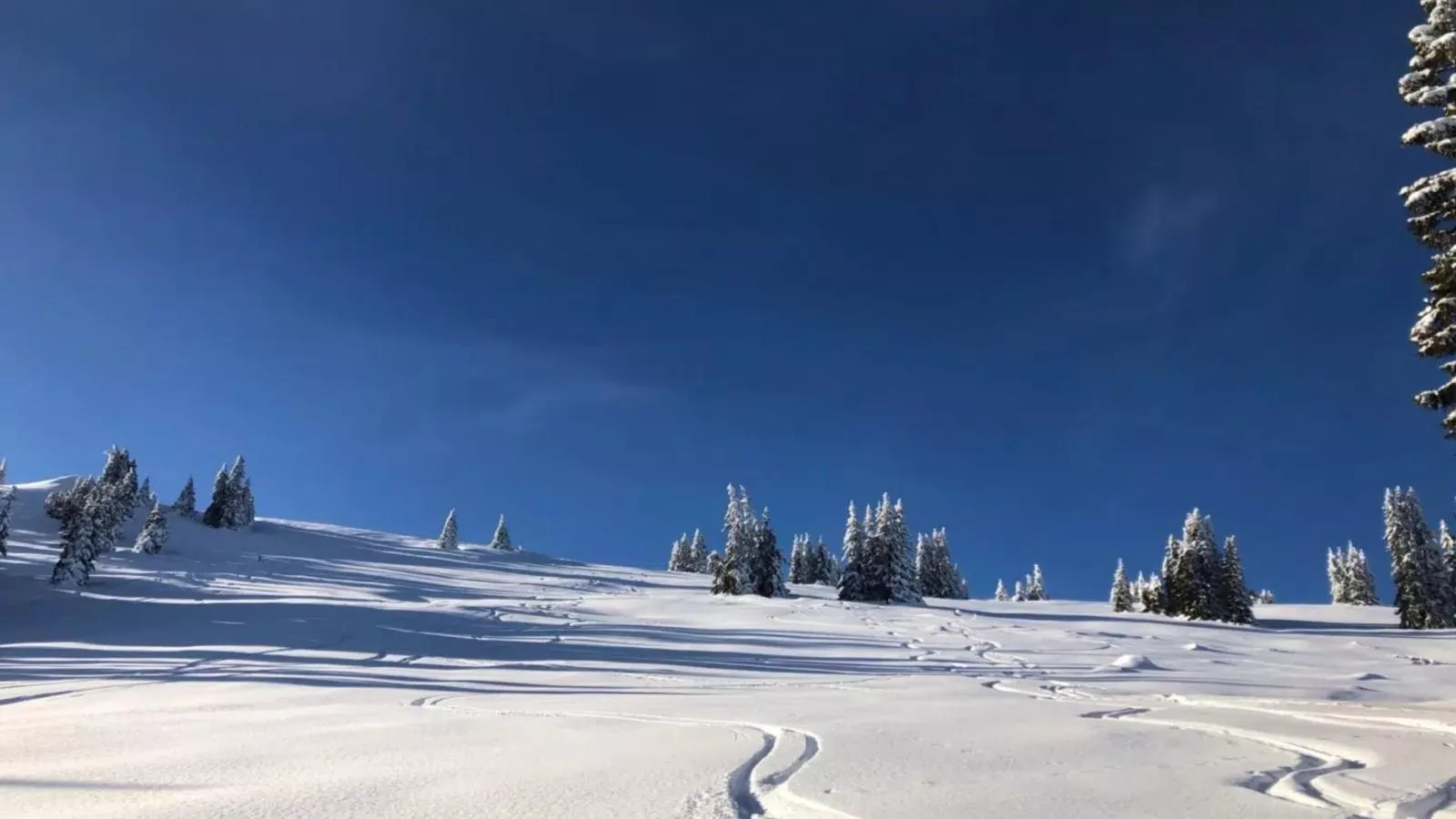 Bojahouse-Gebied winter 20km