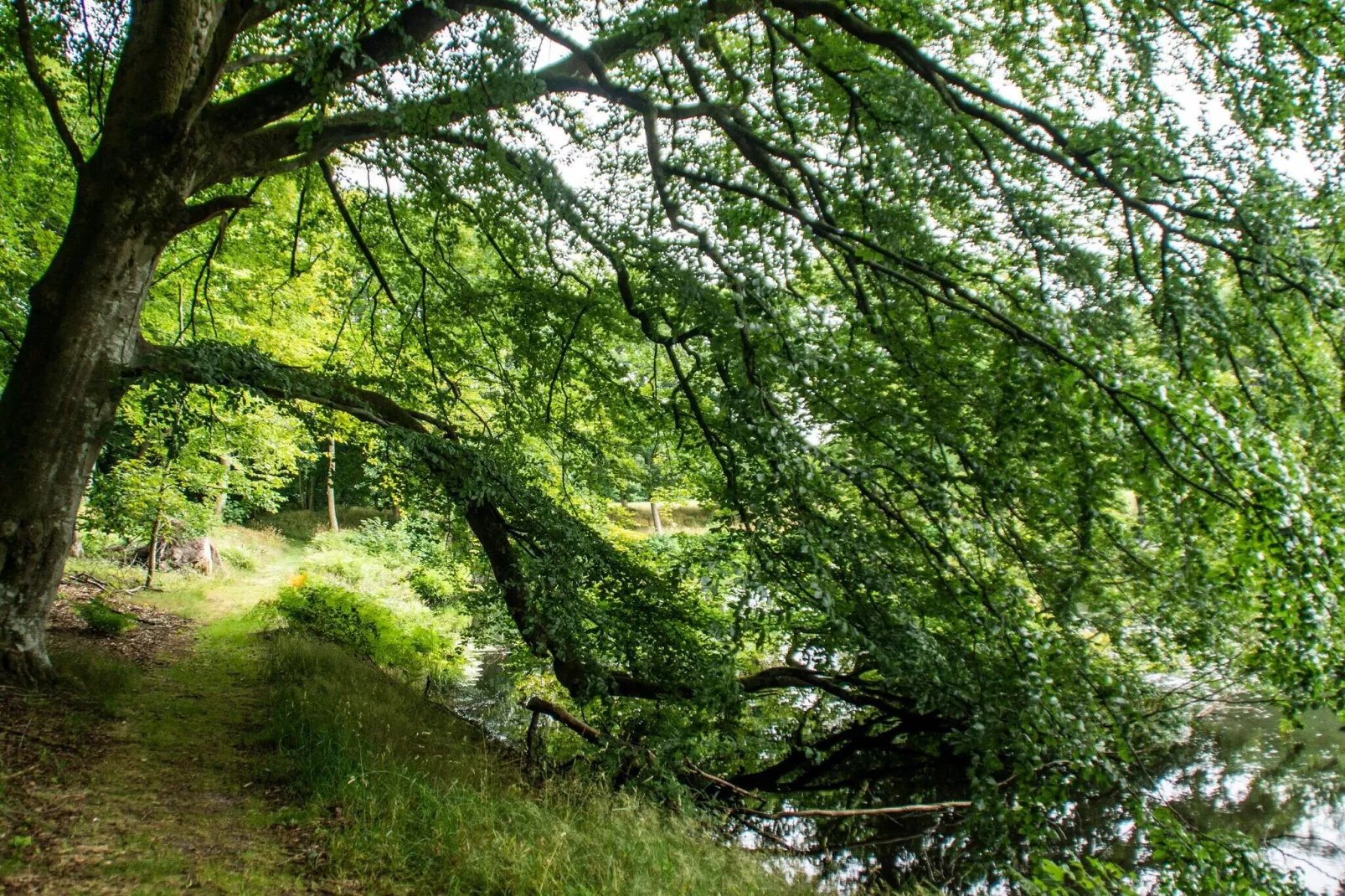 Panoramisch fjordverblijf met spabad-Niet-getagd