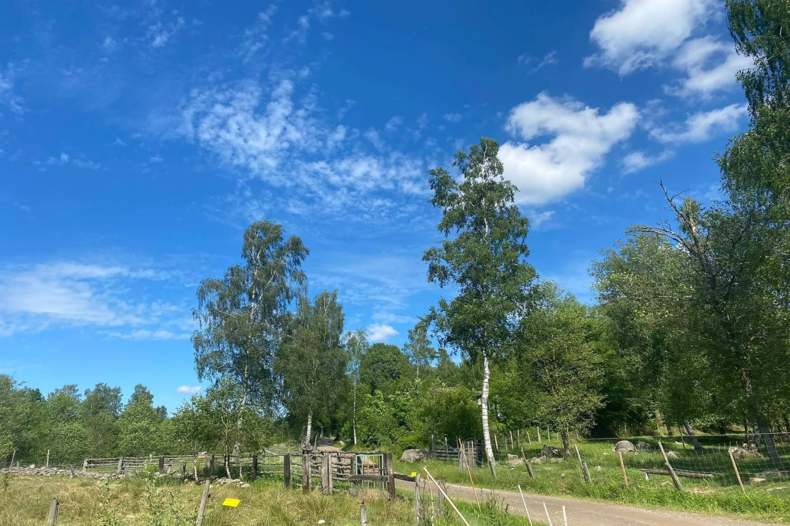 4 persoons vakantiehuis in Hoor-Niet-getagd