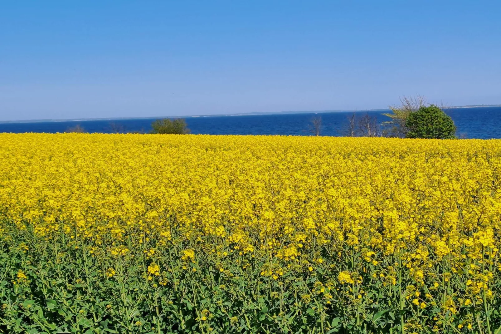 5 sterren vakantie huis in Sydals-Niet-getagd