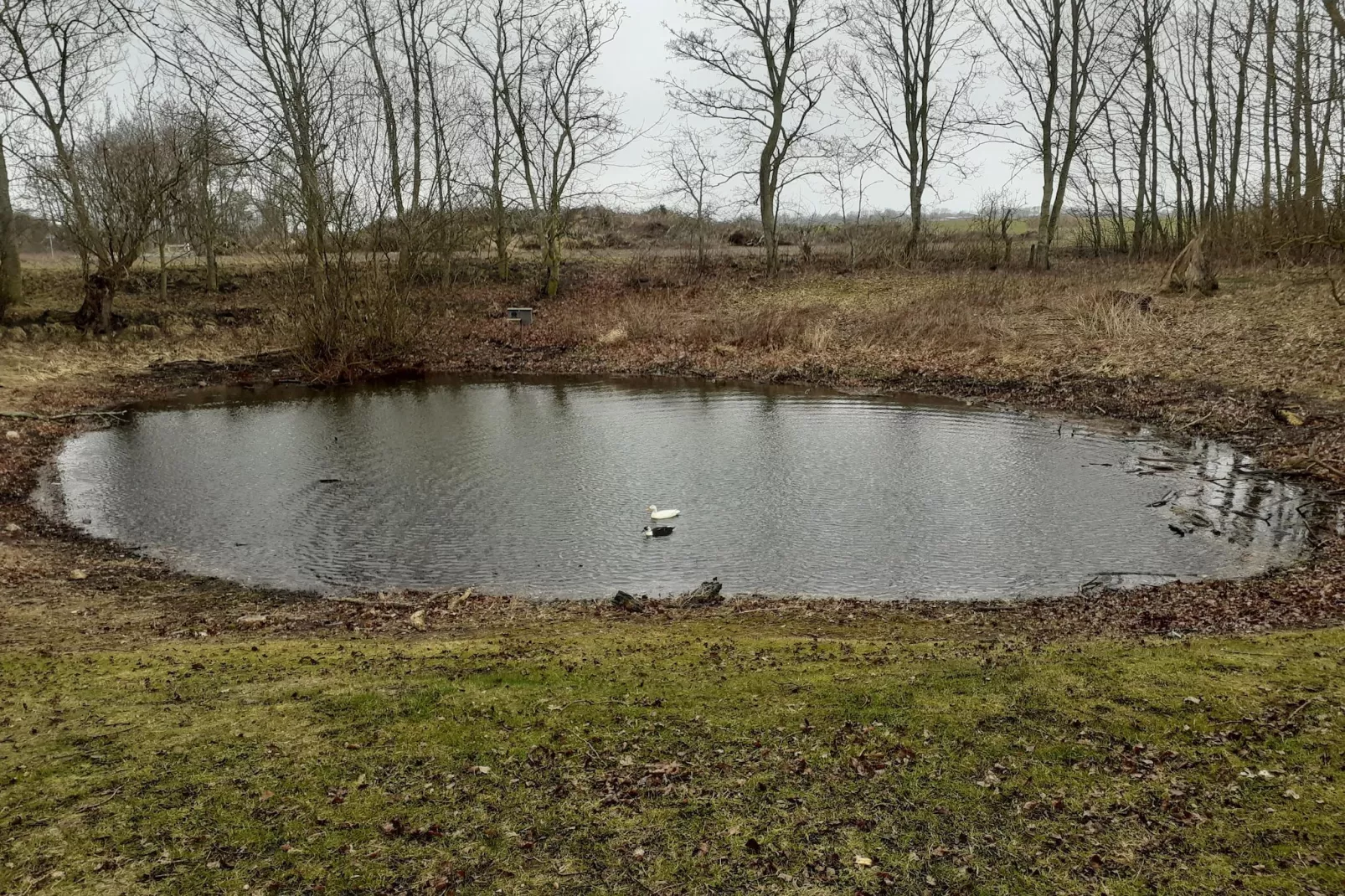 Kiebitzweg 1b EG Strandhüpfer