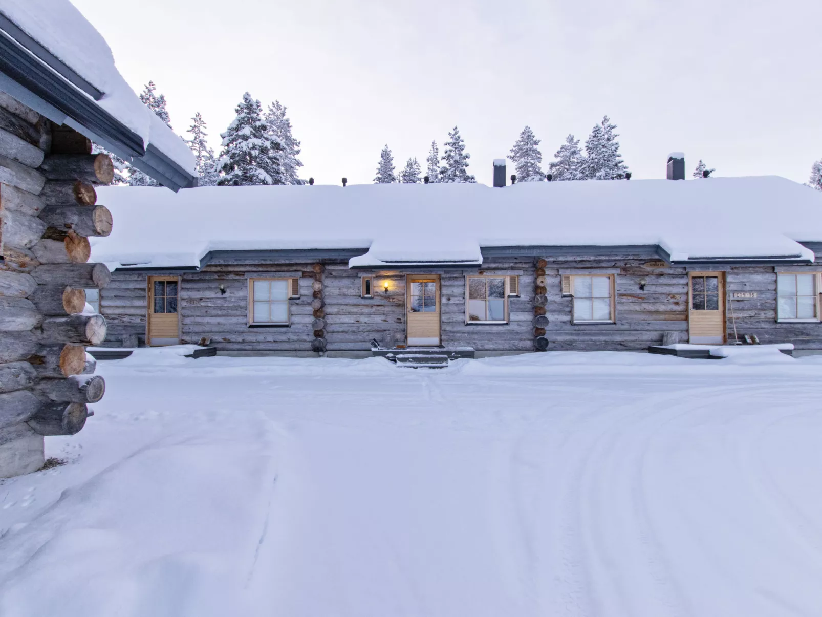 Teerentie / fun / dasher