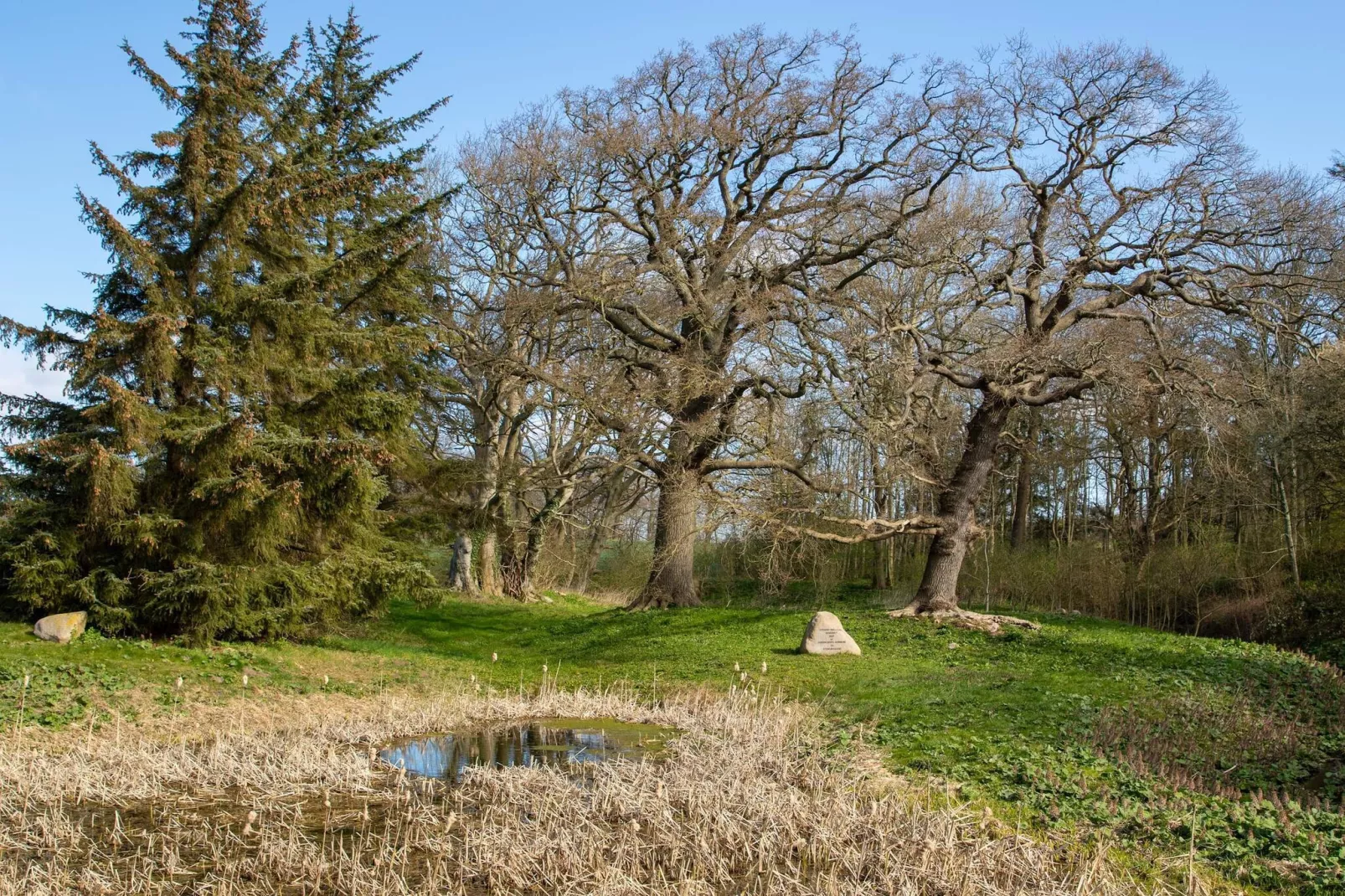 Mooi huisje vlakbij het strand-Niet-getagd