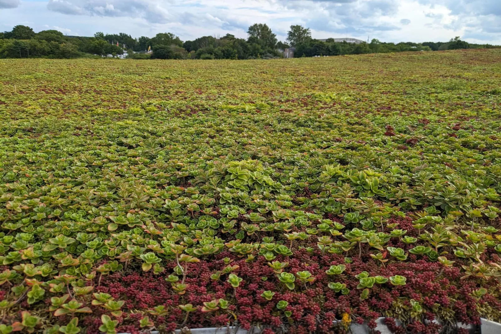 4 sterren vakantie huis in Aalborg-Niet-getagd