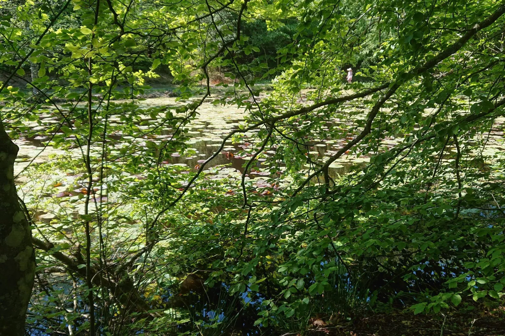 5 sterren vakantie huis in Løkken-Niet-getagd