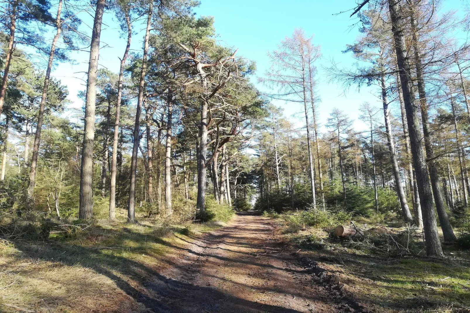 4 Personen vakantie huis in Gedser