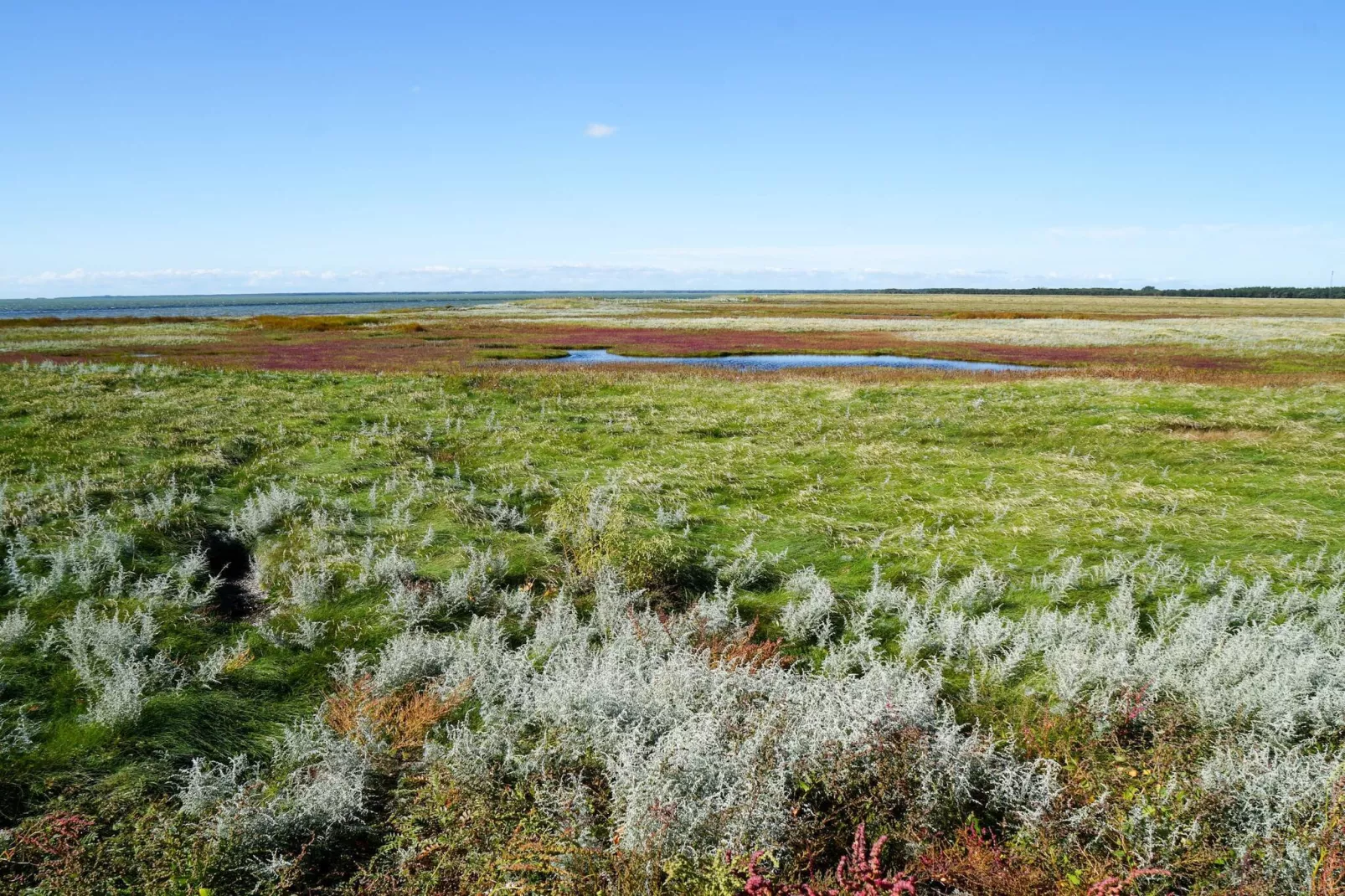 6 Personen vakantie huis in Læsø-Niet-getagd
