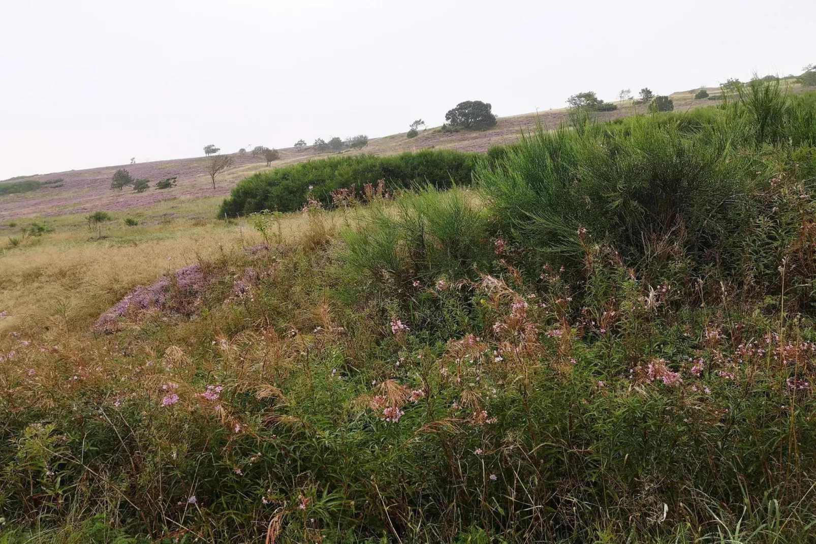 5 sterren vakantie huis in Farsø-Niet-getagd