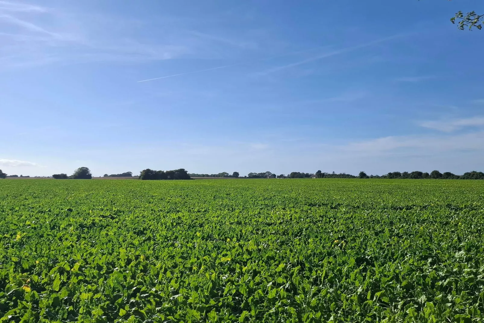 5 Personen vakantie huis in Nakskov-Niet-getagd