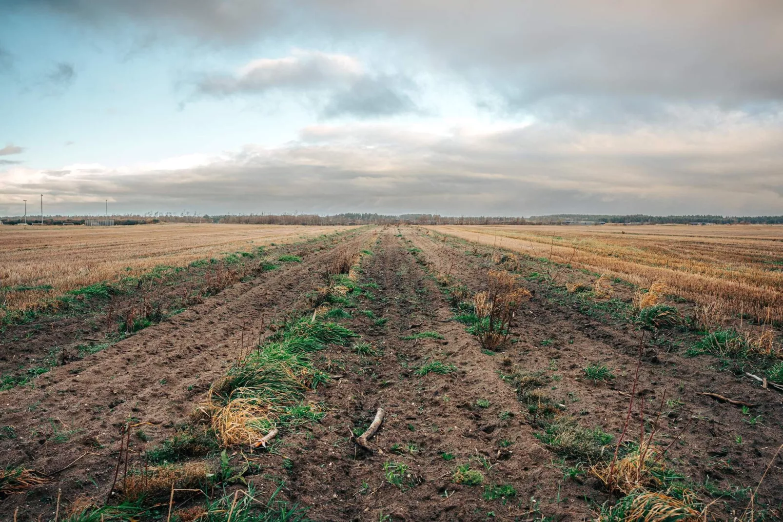 4 sterren vakantie huis in Brønderslev