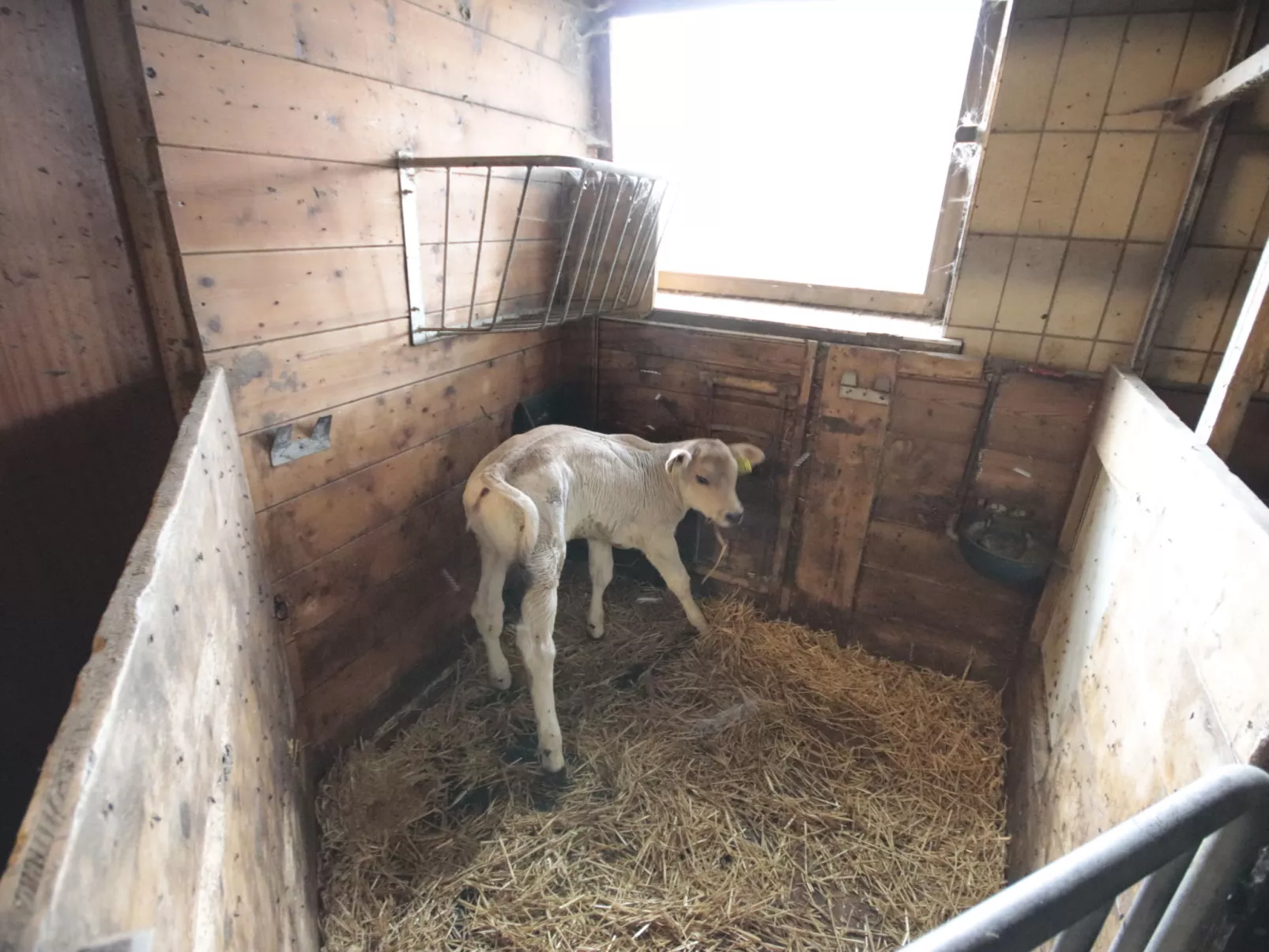 Alpenfarm Poschhof-Buiten