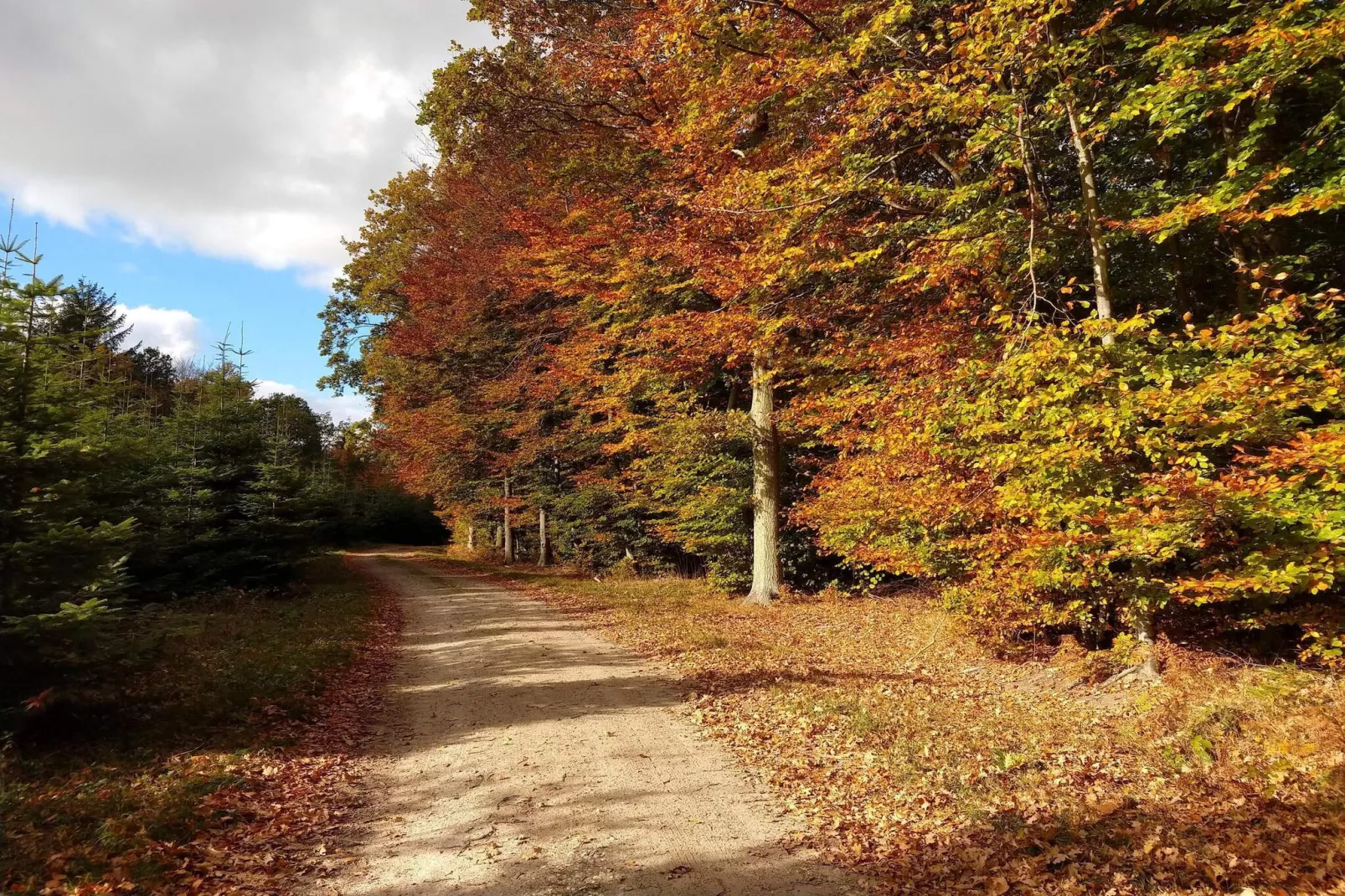 4 sterren vakantie huis in Karrebæksminde-Niet-getagd