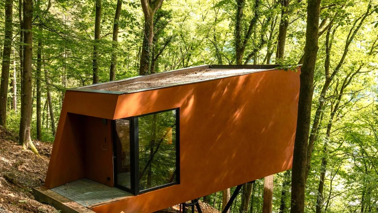 Cabane dans les arbres