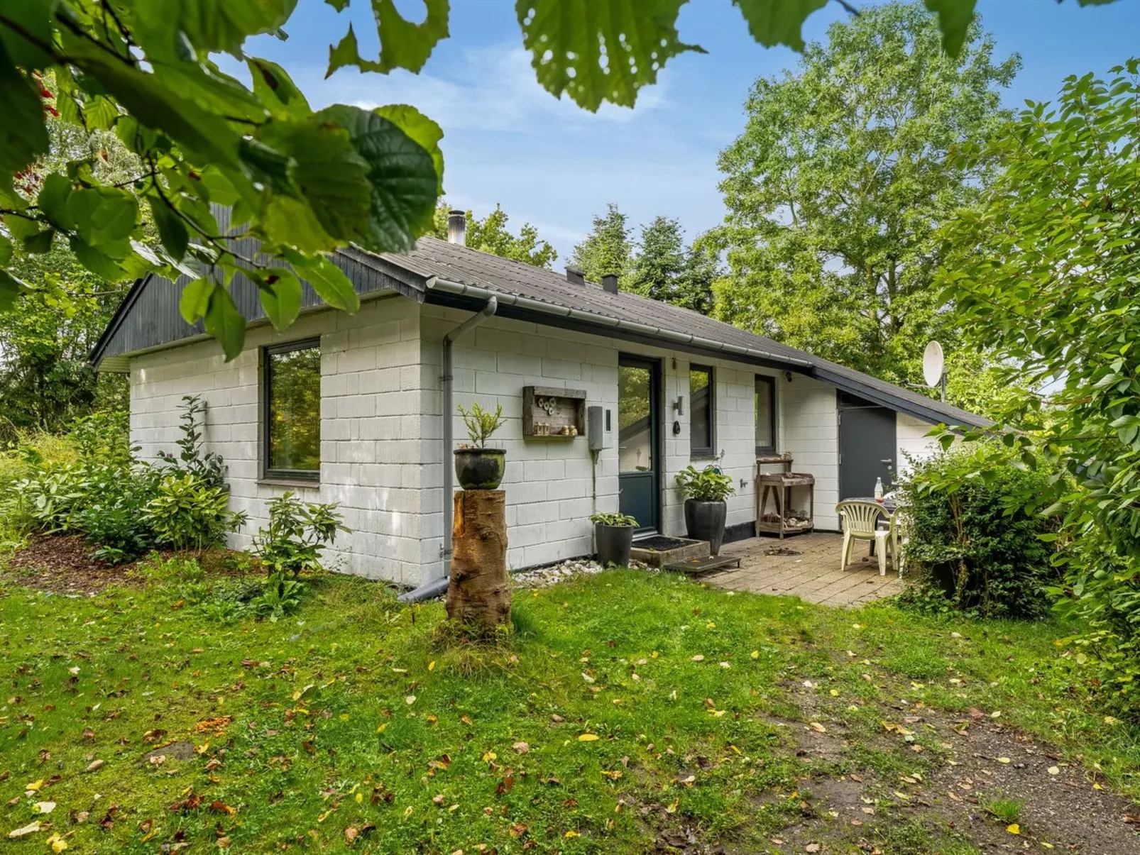 "Velika" - 300m to the fjord