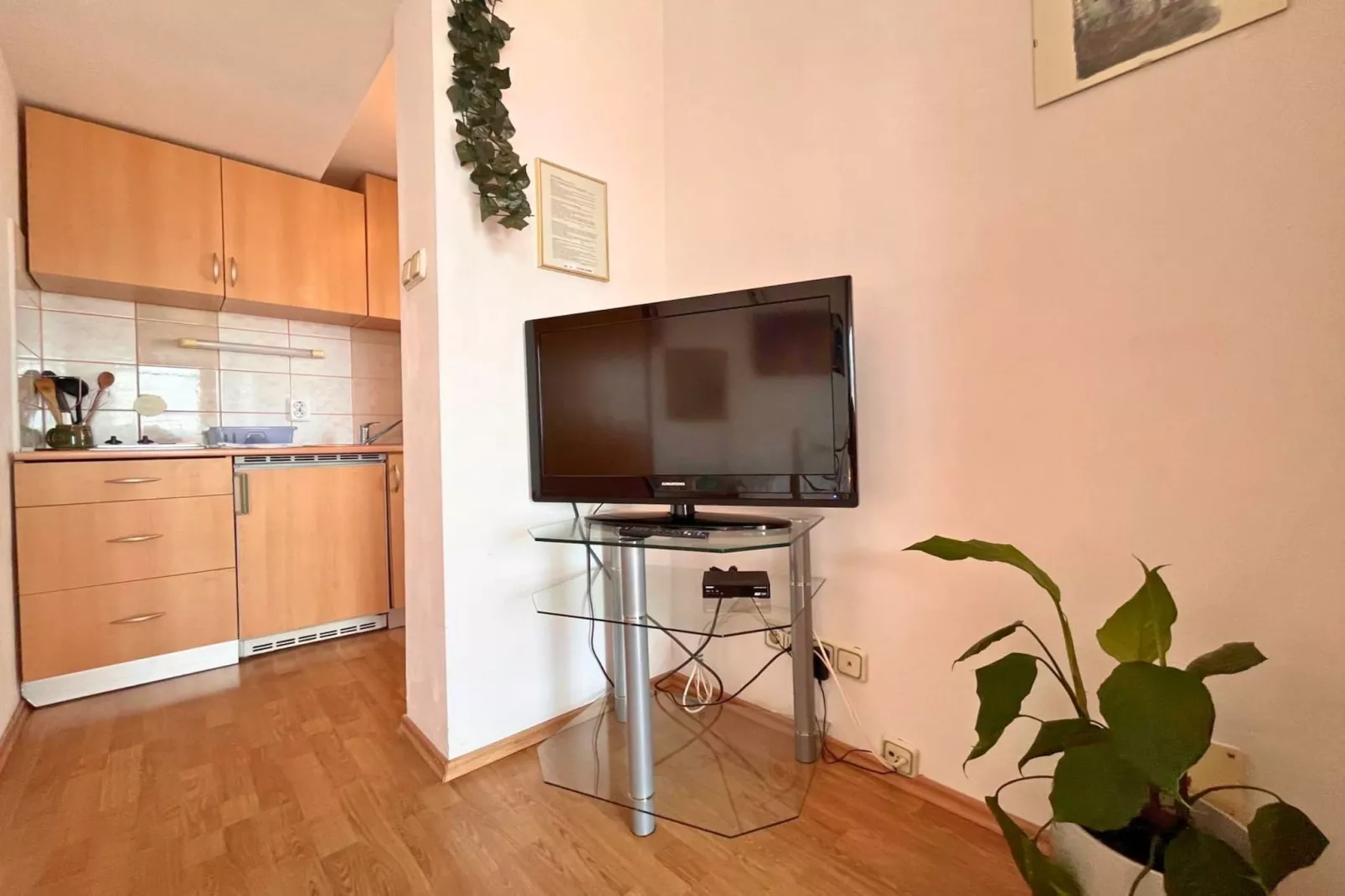 Apartments Butković - One Bedroom Apartments (A5)