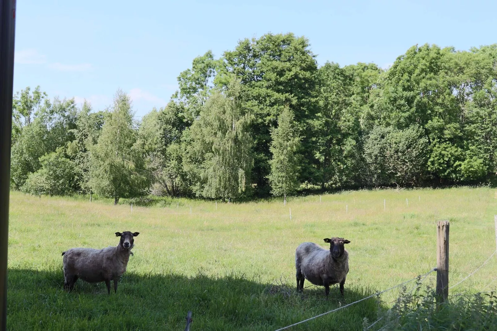 4 persoons vakantie huis in ROLFSTORP-By Traum-Niet-getagd