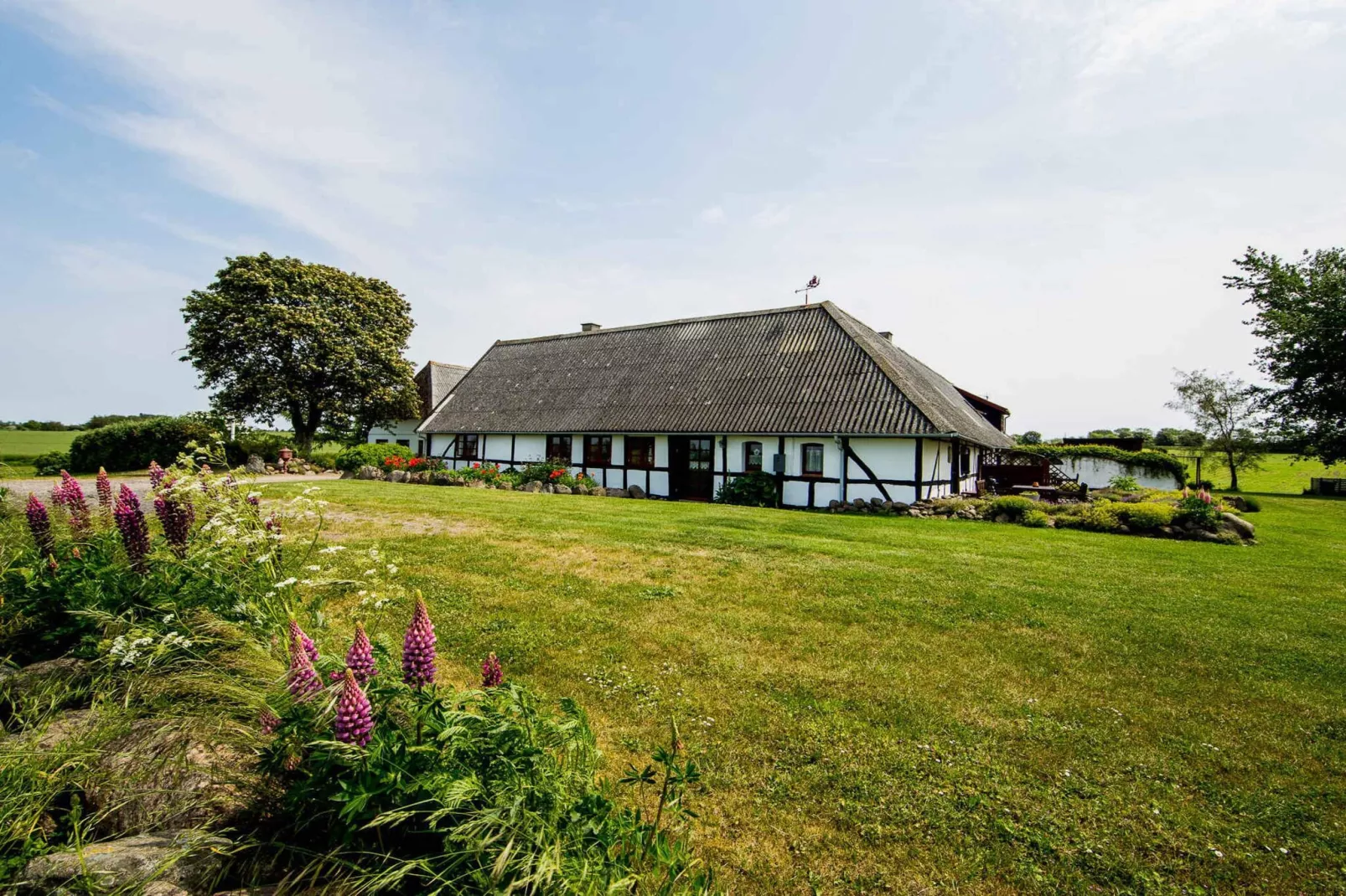 5 sterren vakantie huis in Faaborg