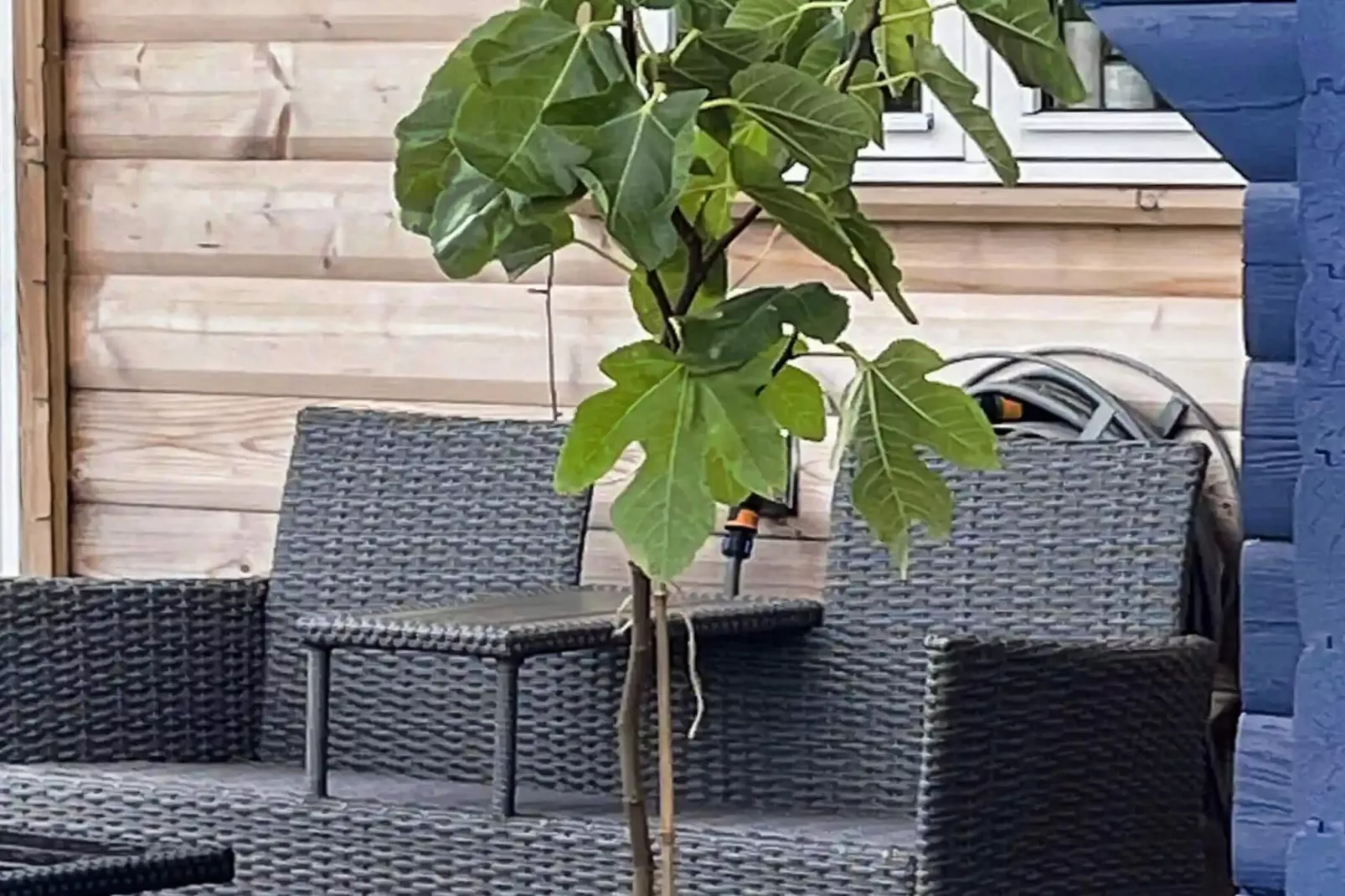 5 sterren vakantie huis in Slagelse