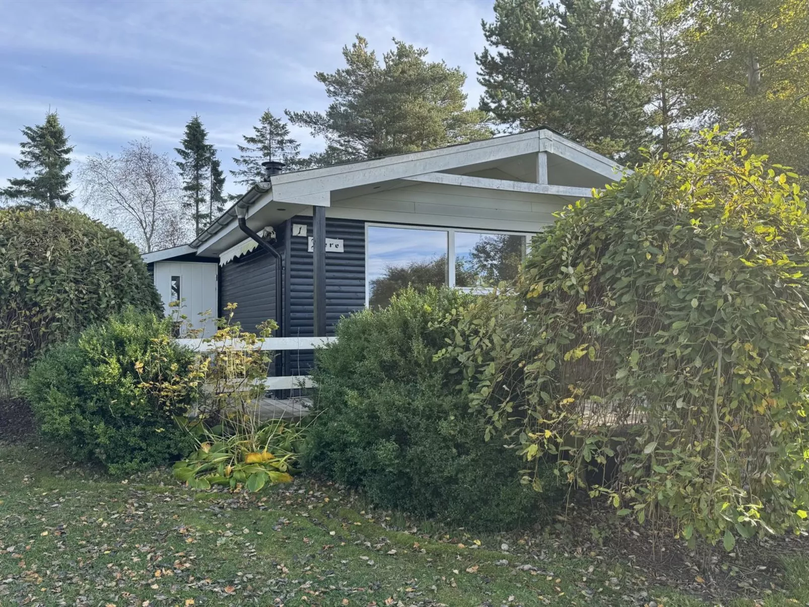 "Felicia" -  from the sea