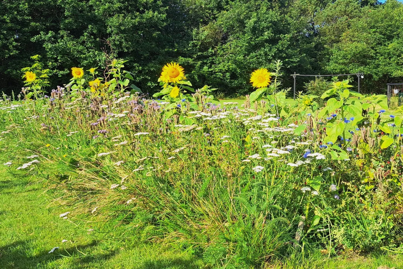 Whirlpool Cottage Oase-By Traum