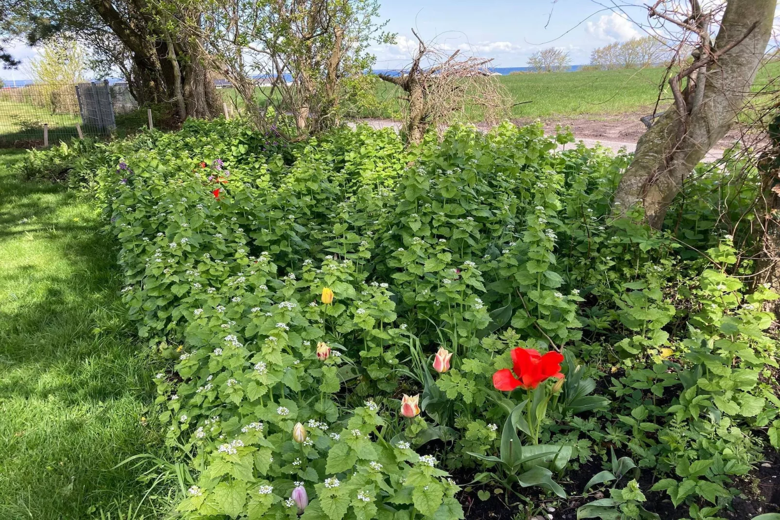 6 persoons vakantie huis in Ansager