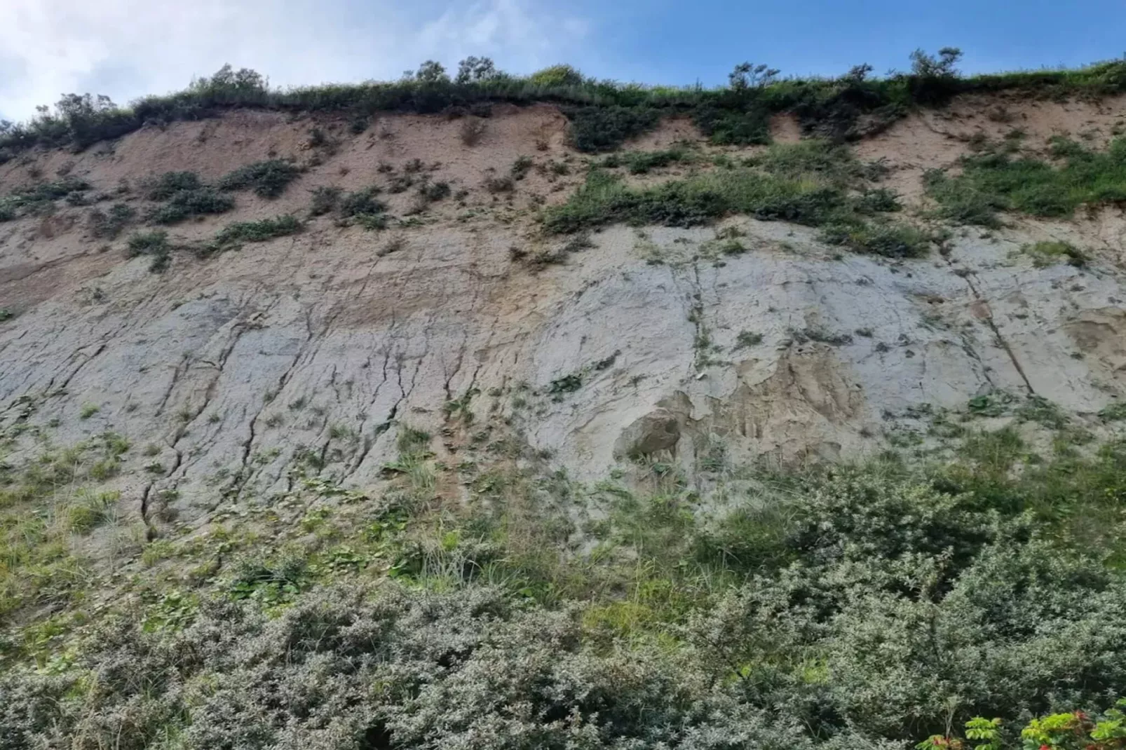 Kustcharme in Gjerrild-By Traum