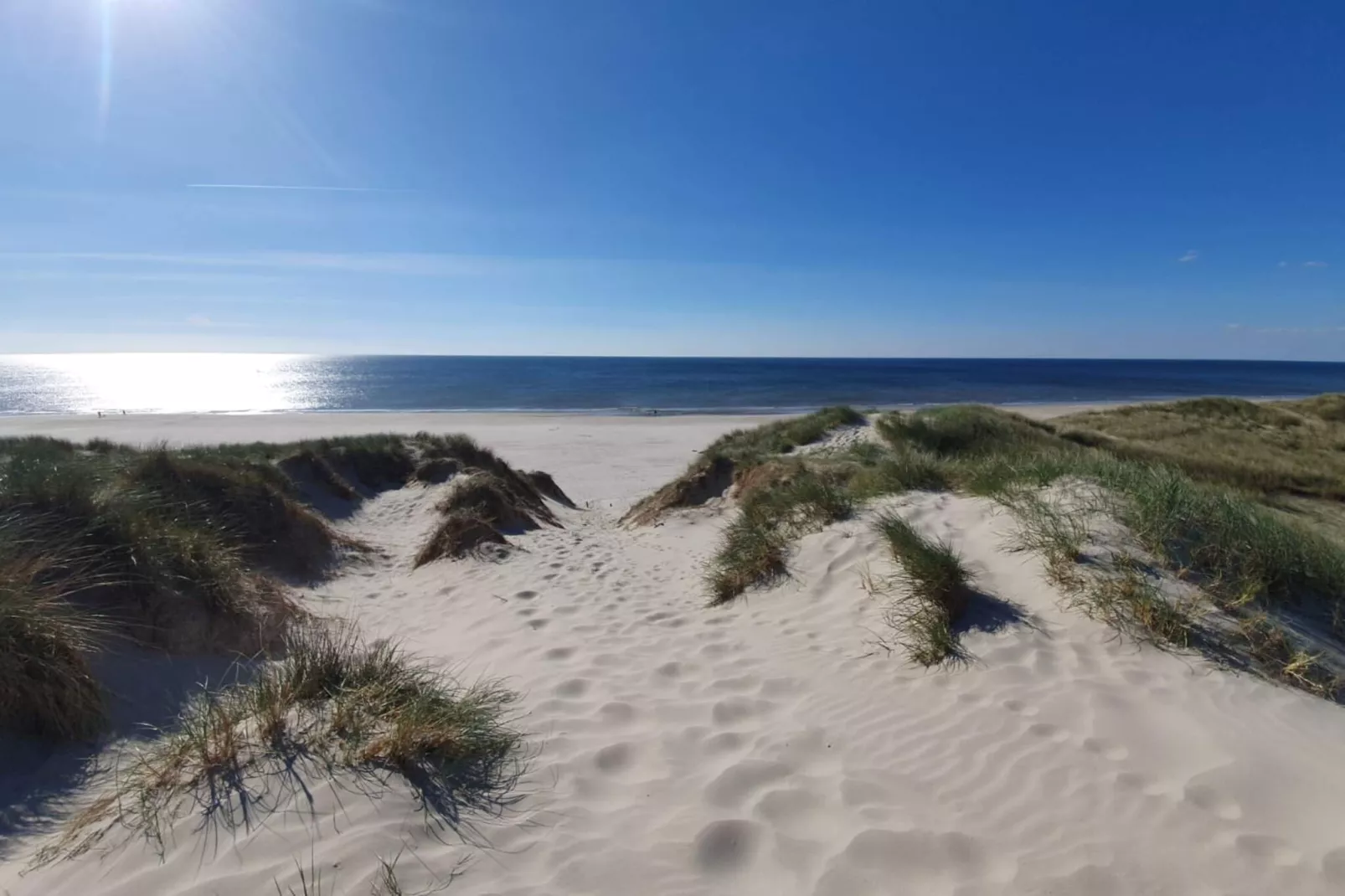 20 persoons vakantie huis in Nørre Nebel-Niet-getagd