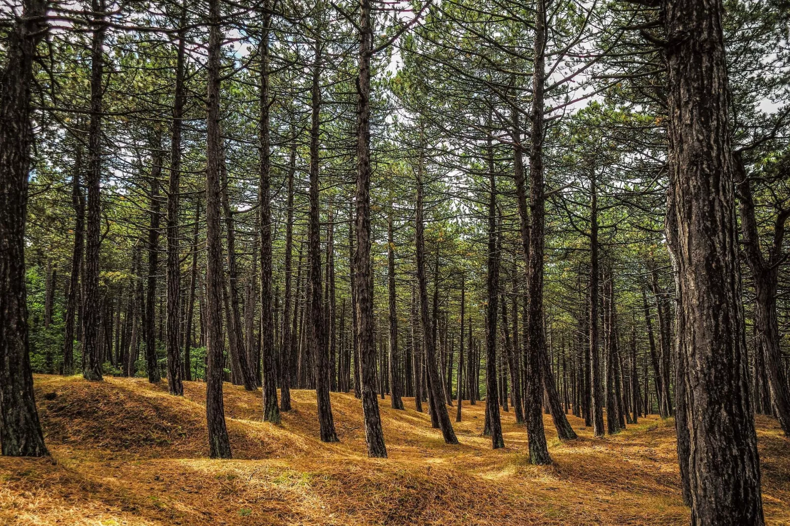 Gezellig toevluchtsoord in Rorvig Haven-By Traum