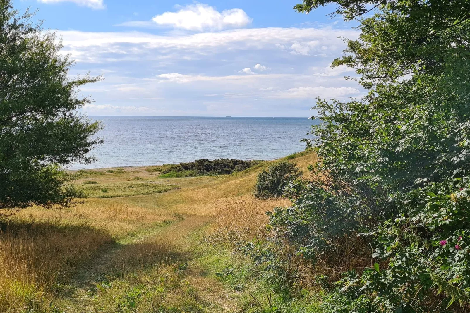 8 persoons vakantie huis in Knebel