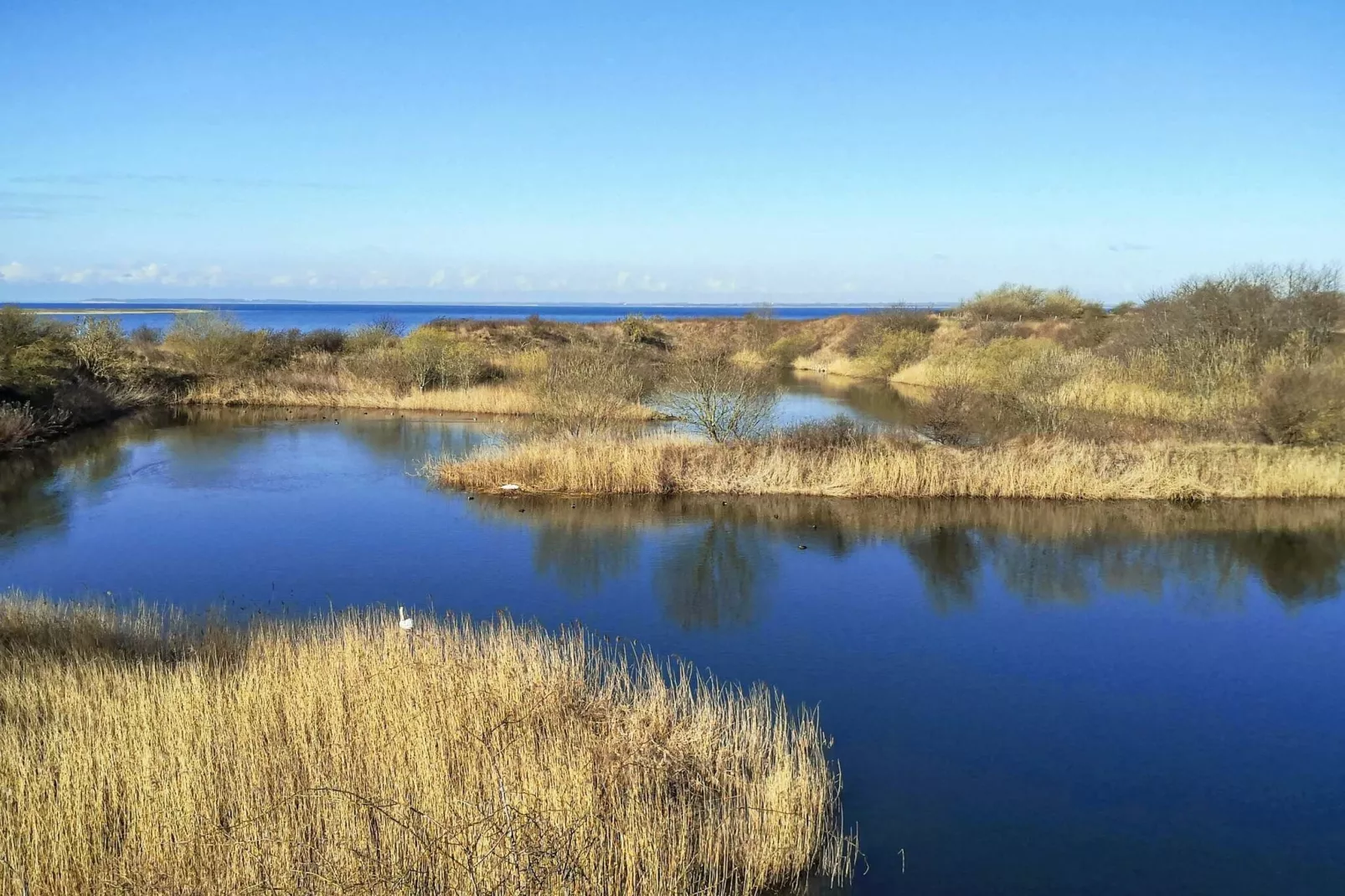 4 persoons vakantie huis in Assens-Waterzicht